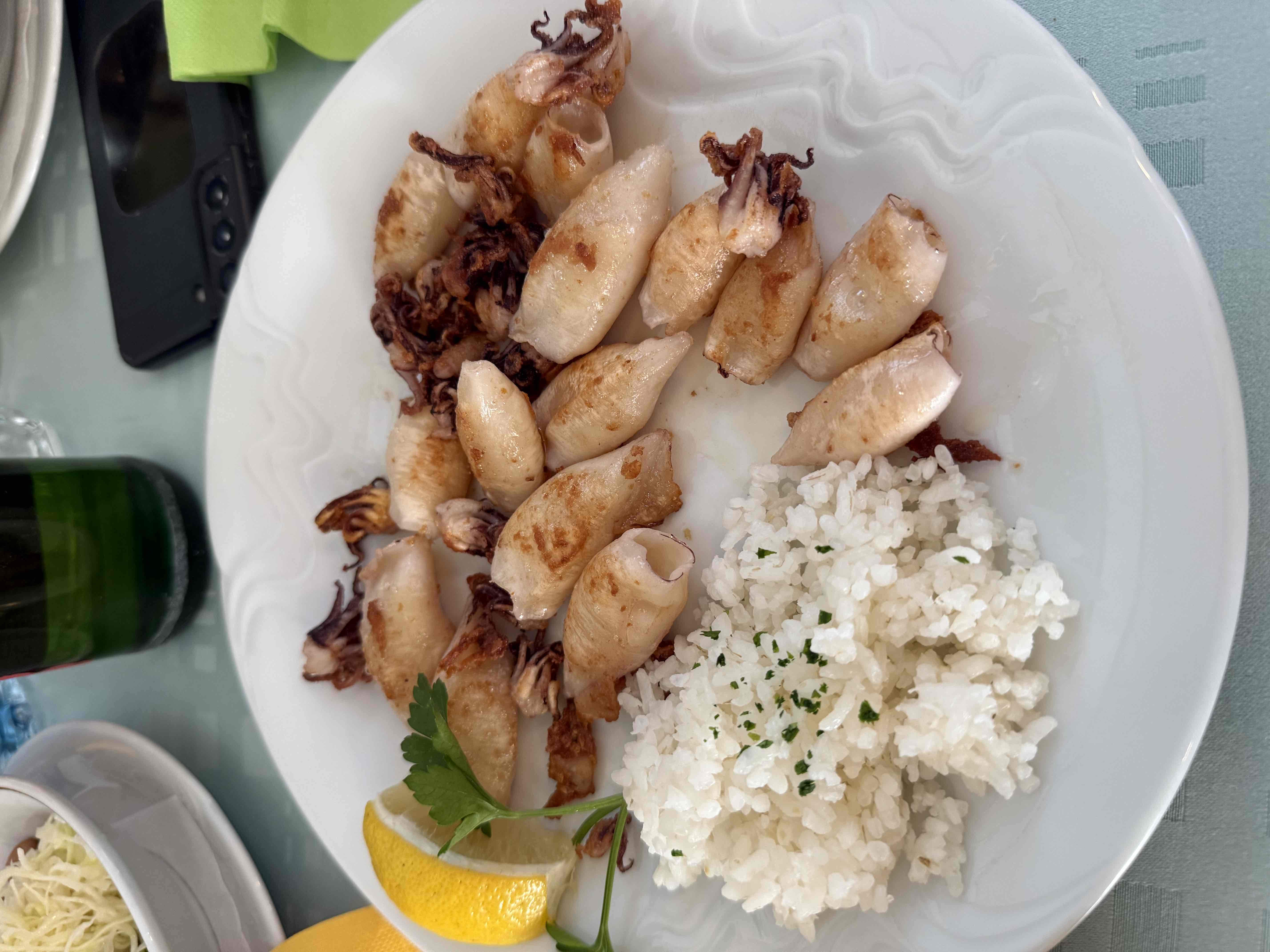 Grilled Squid with Rice
