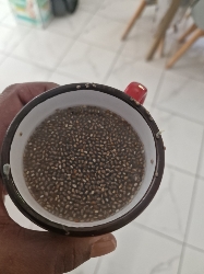 Graines de chia trempées
