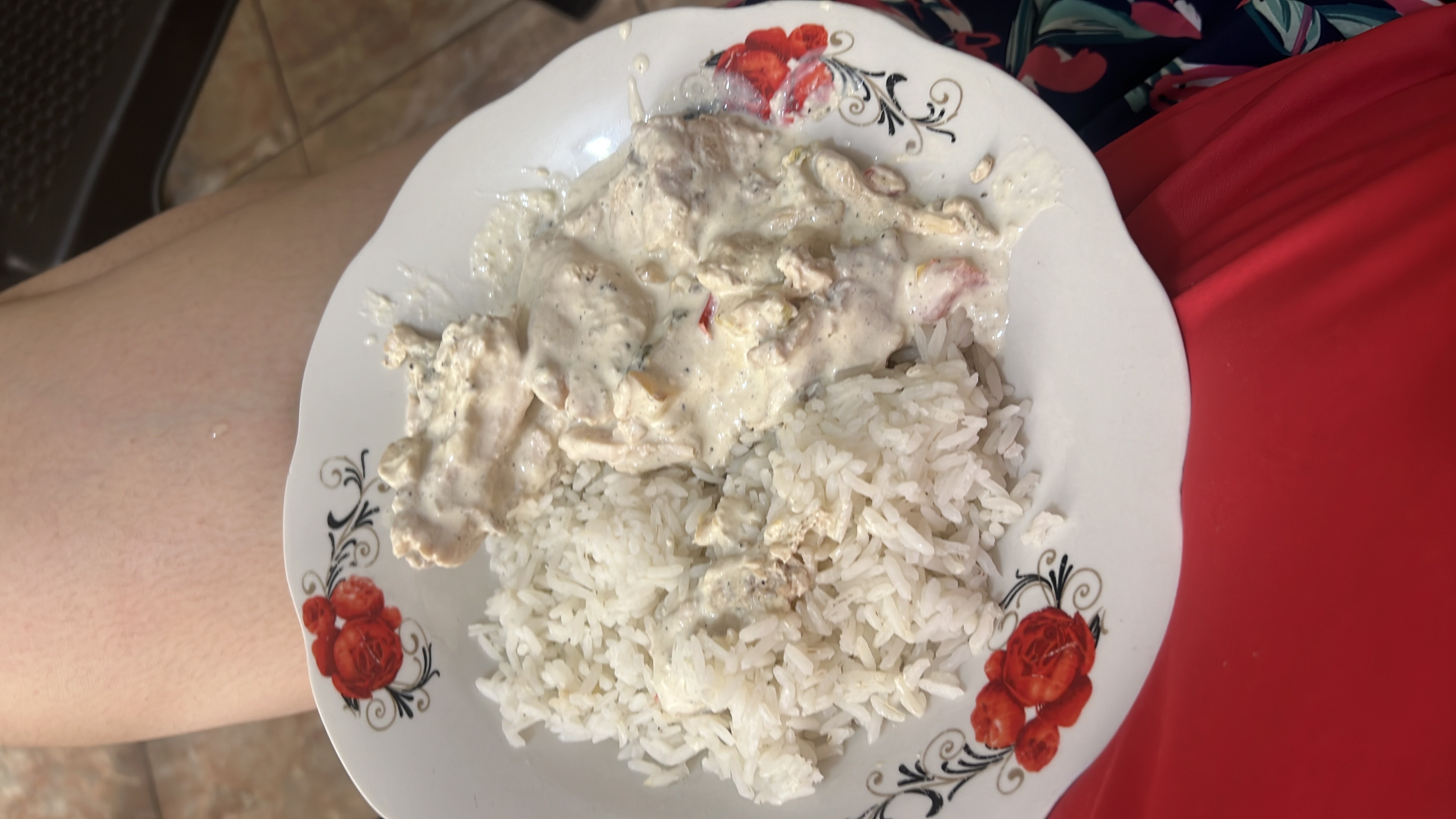 Pollo en salsa con arroz