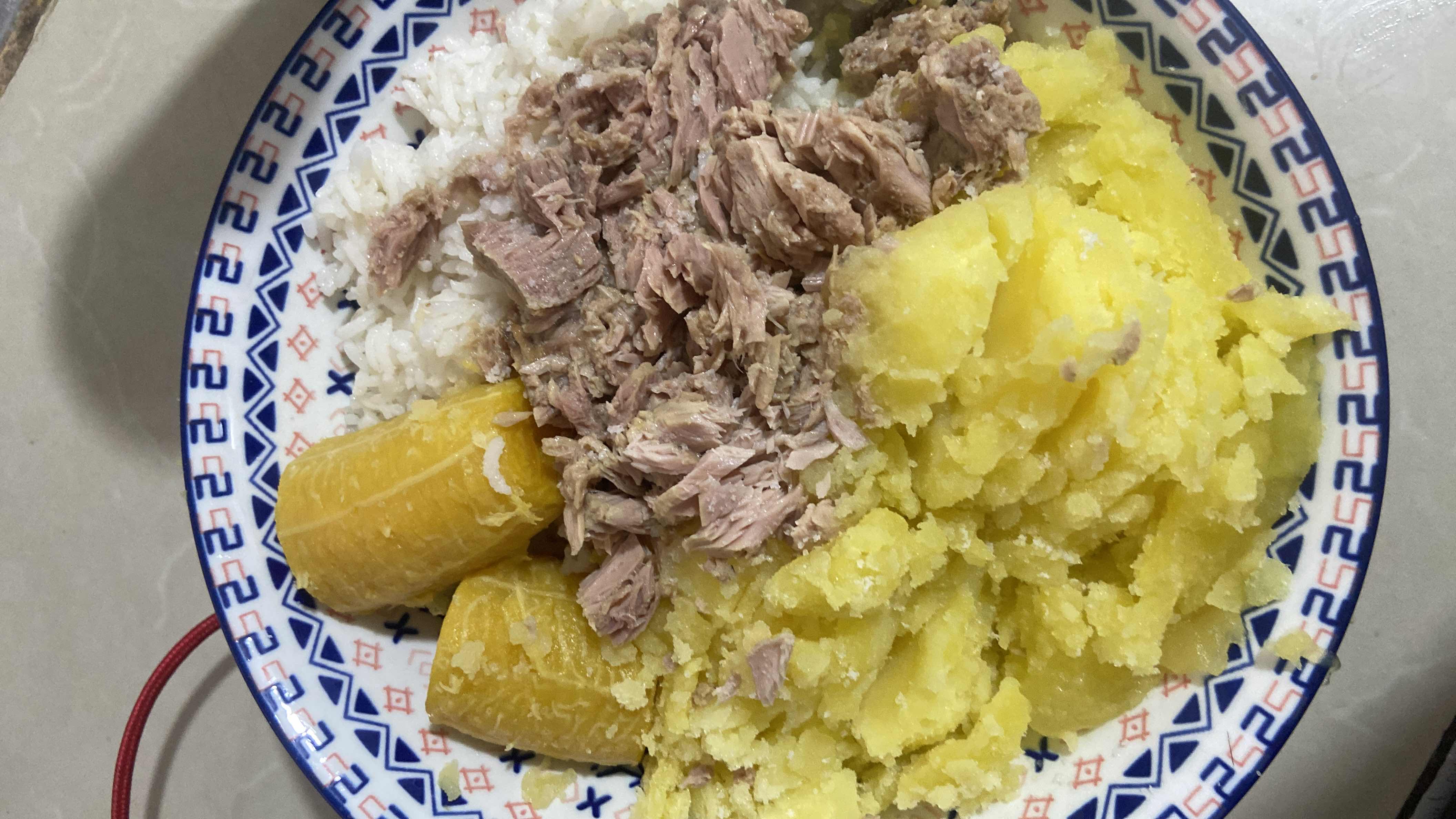 Plato de atún con guarnición