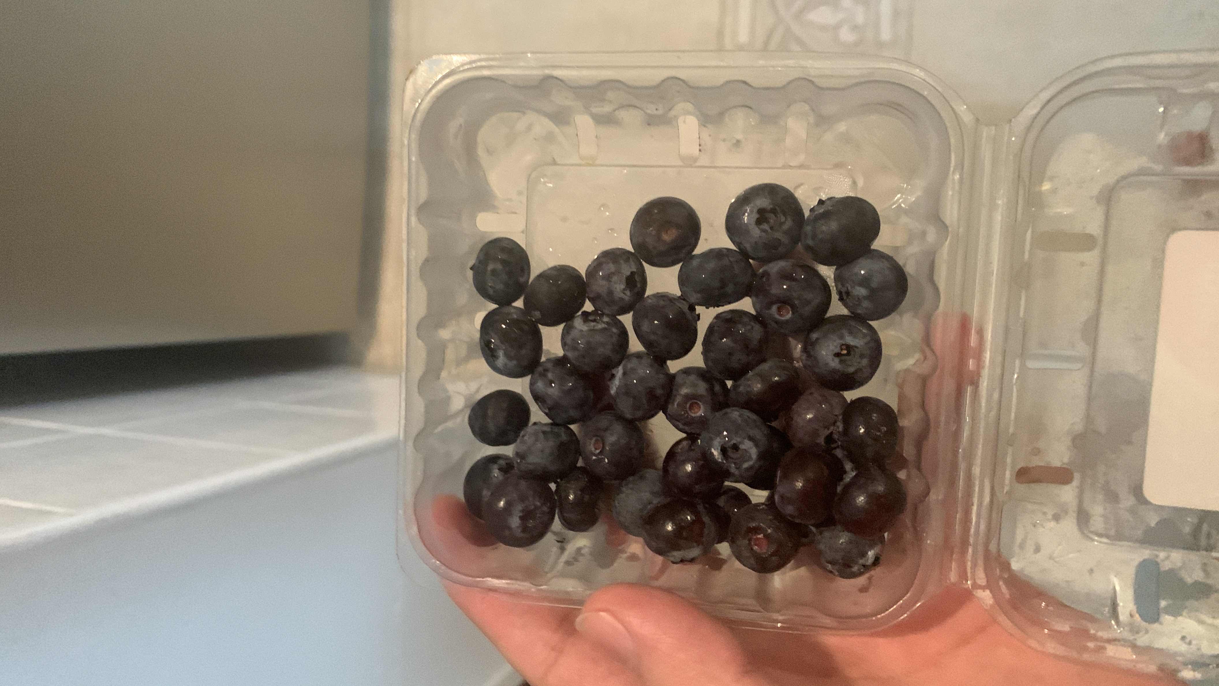 Fresh Blueberries