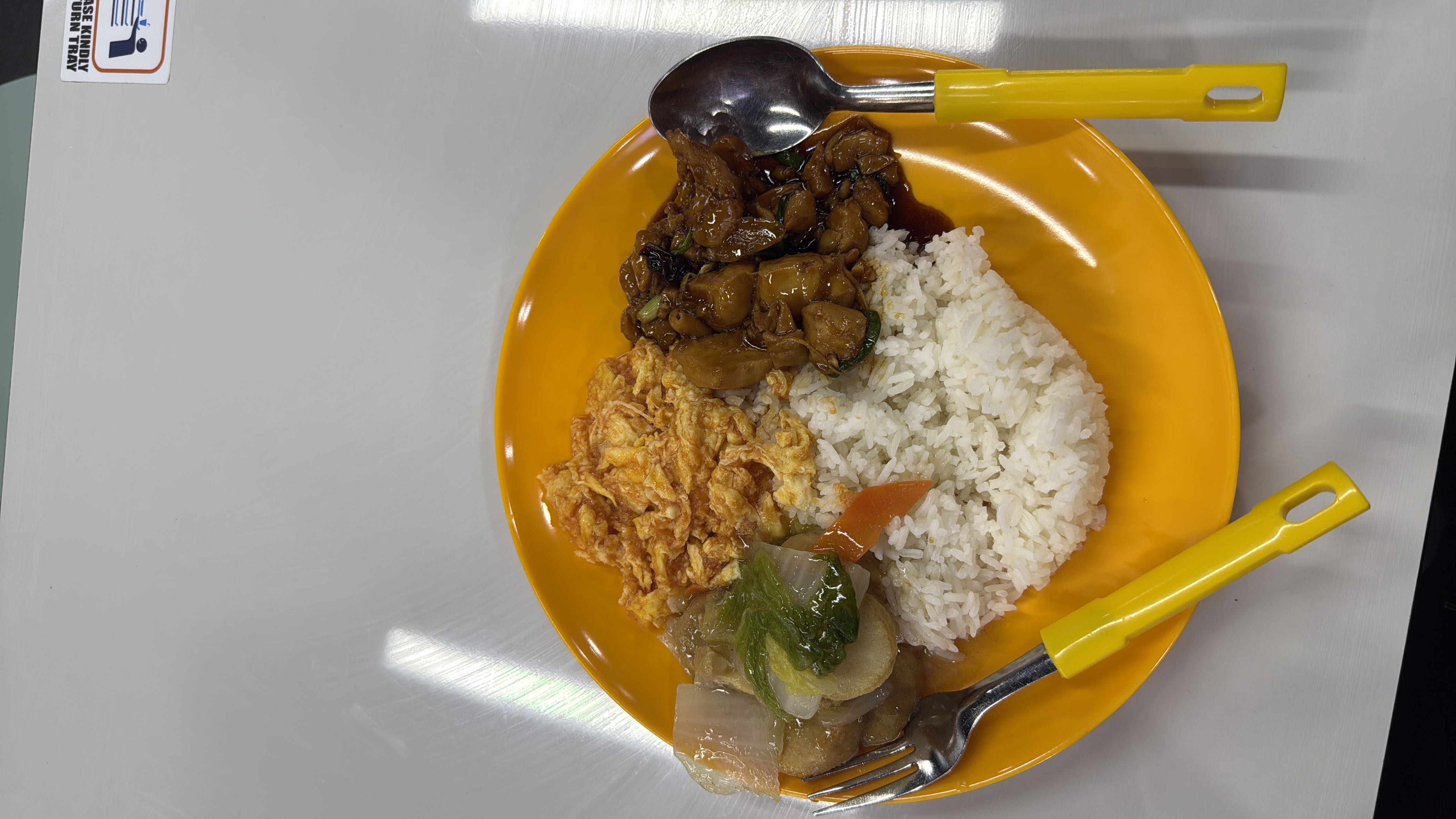 Rice with chicken and egg