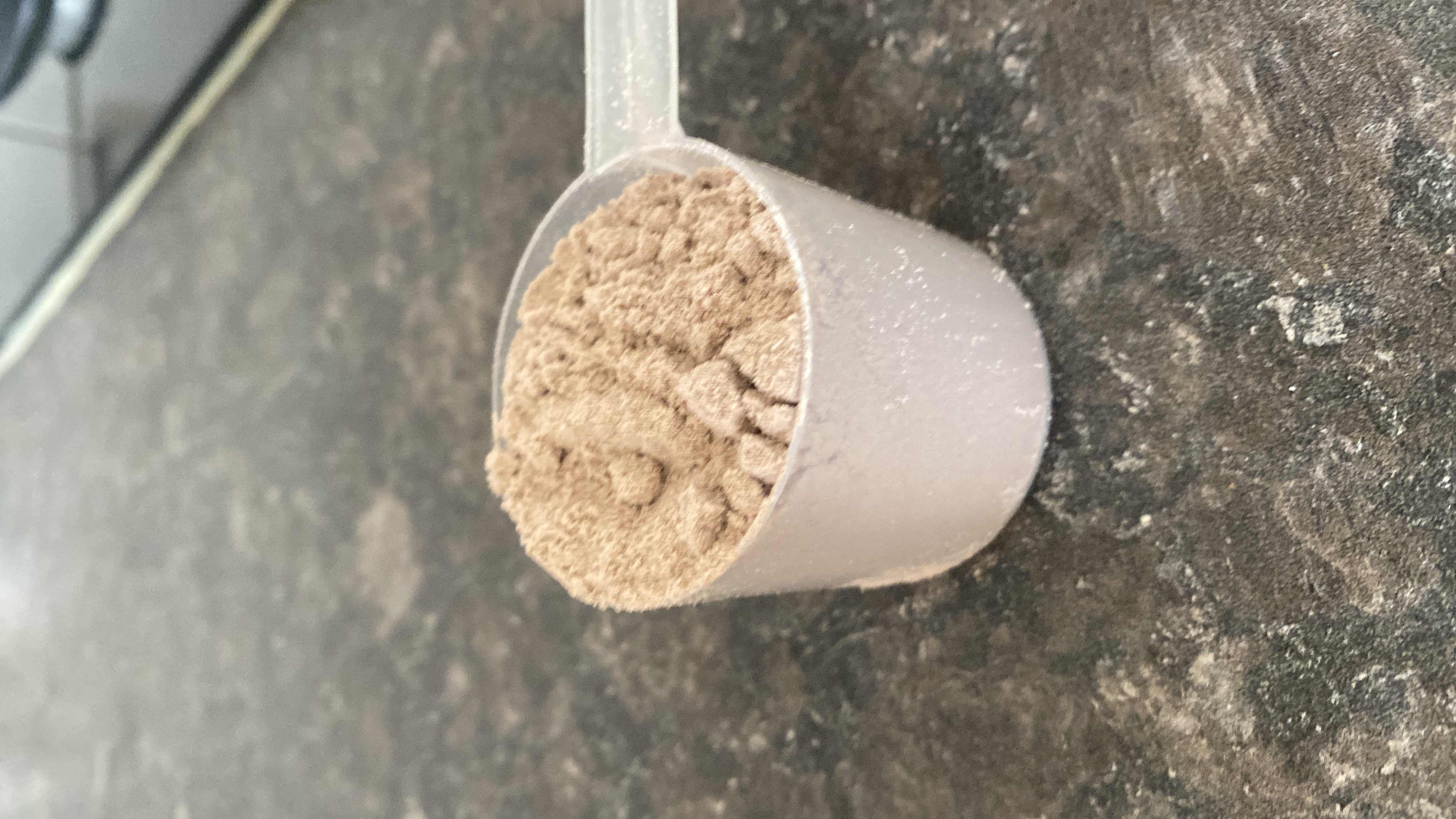 بروتين مصل اللبن