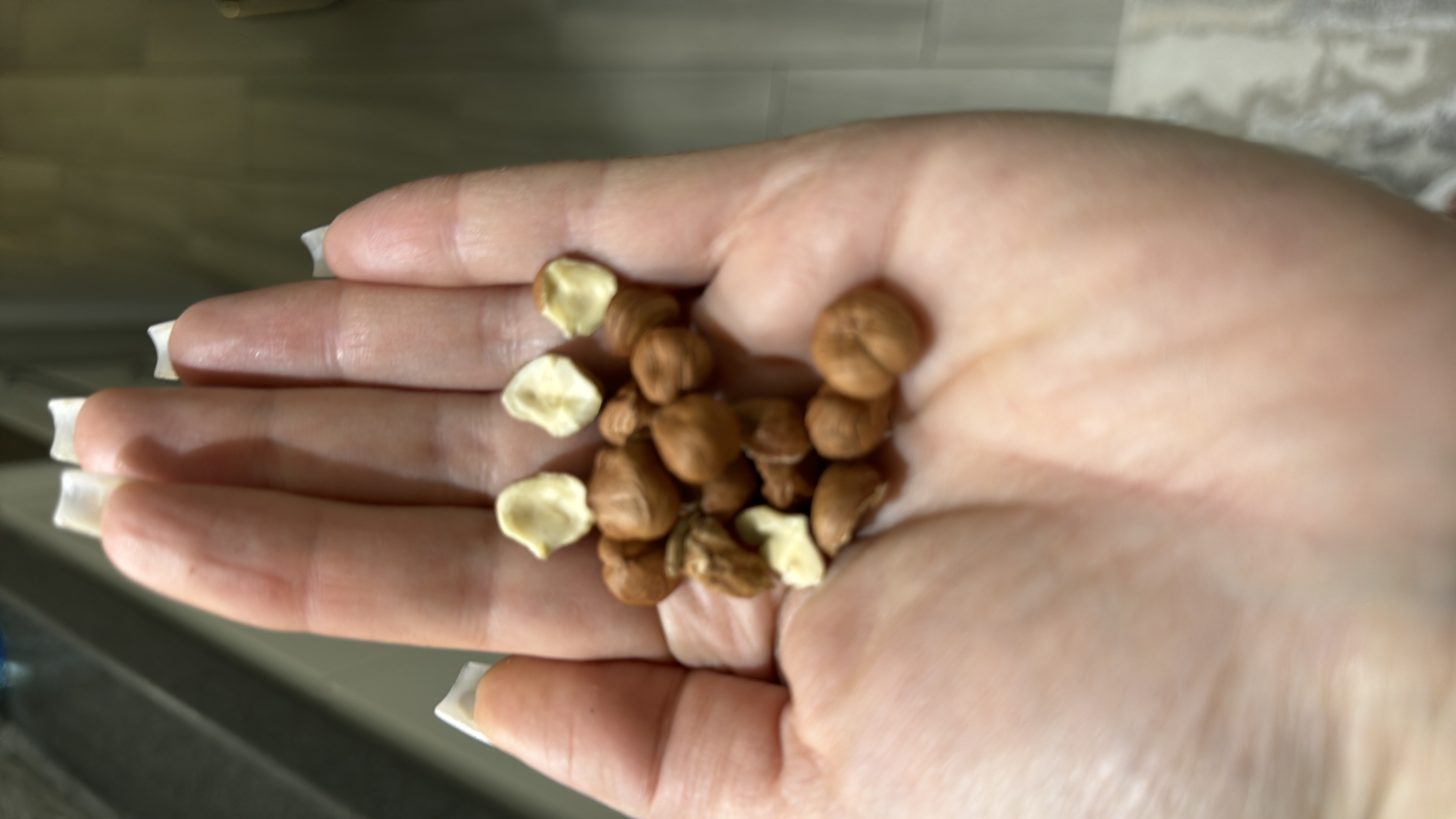 Handful of Hazelnuts