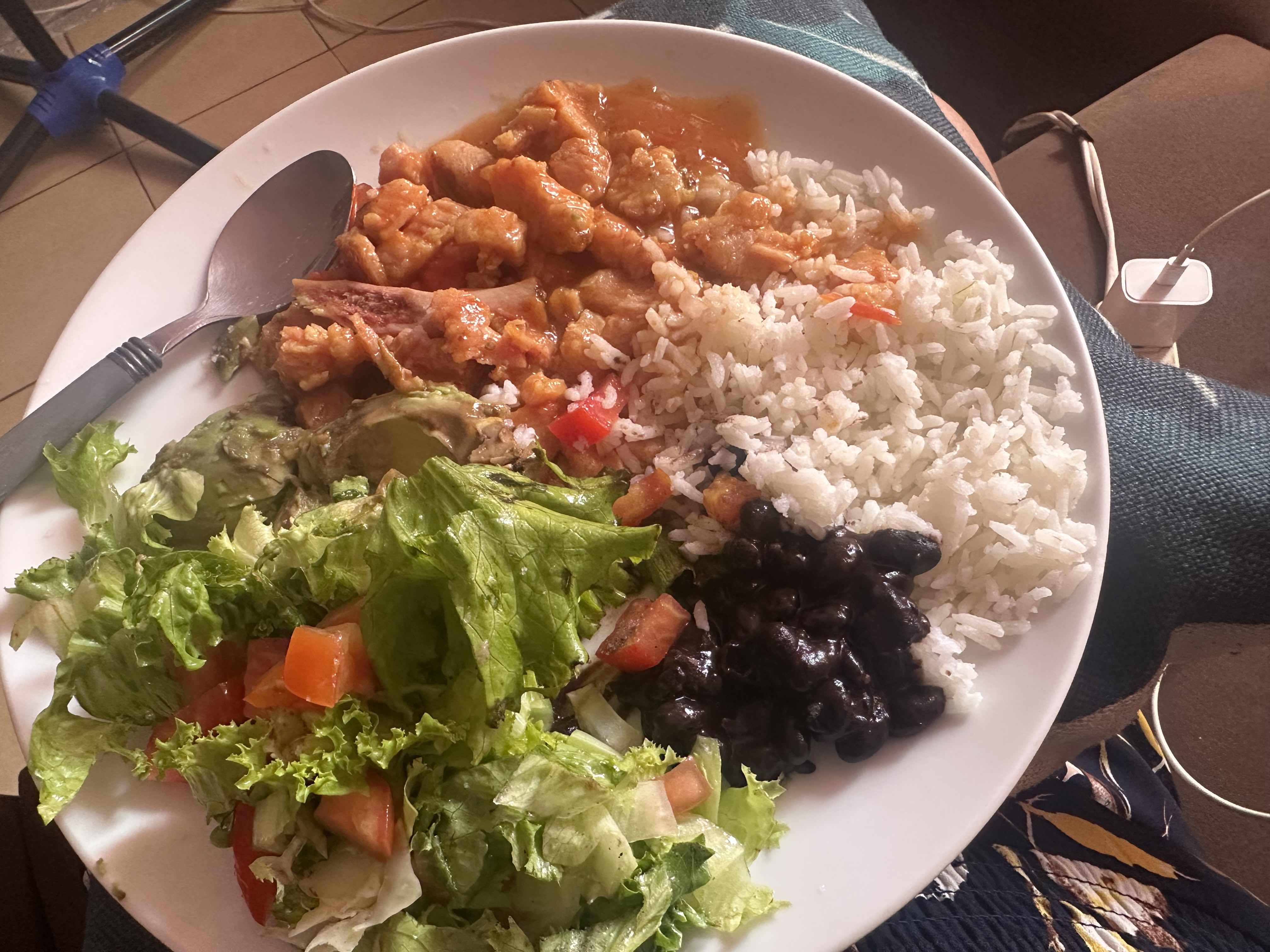 Plato de arroz con guiso