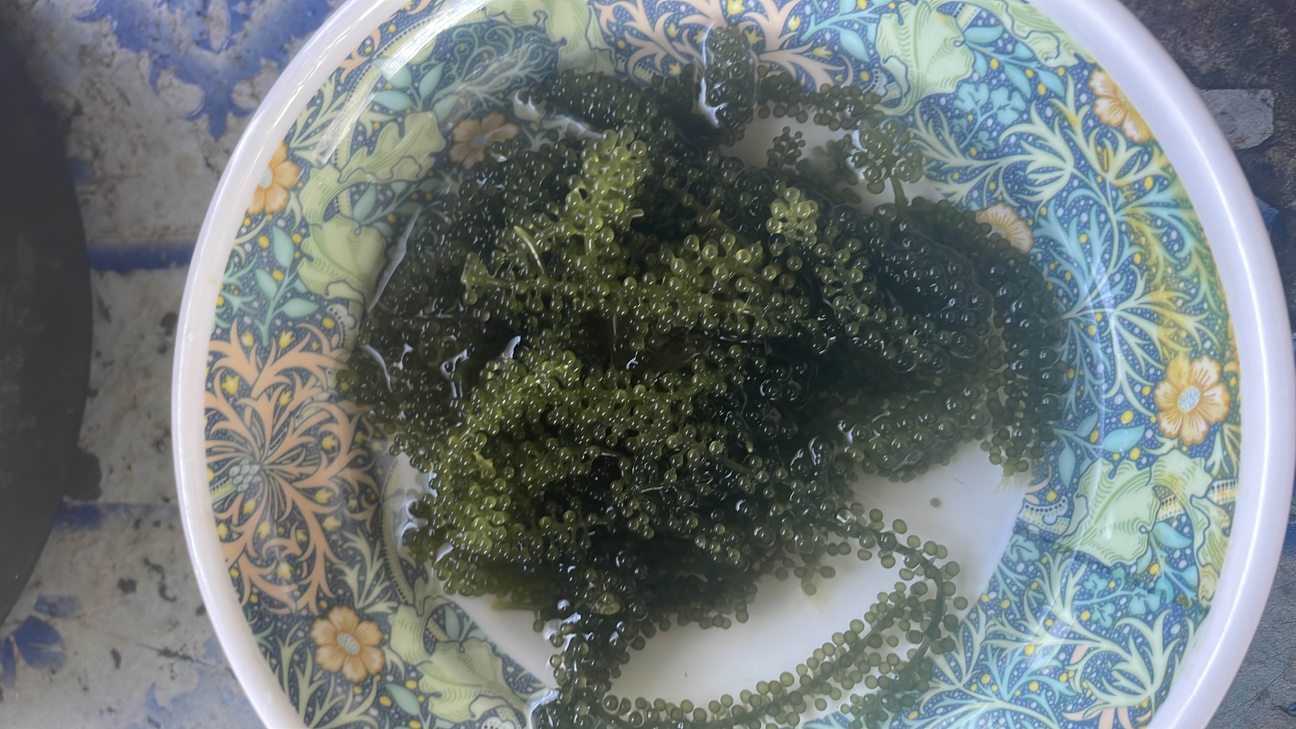 Sea Grapes Salad