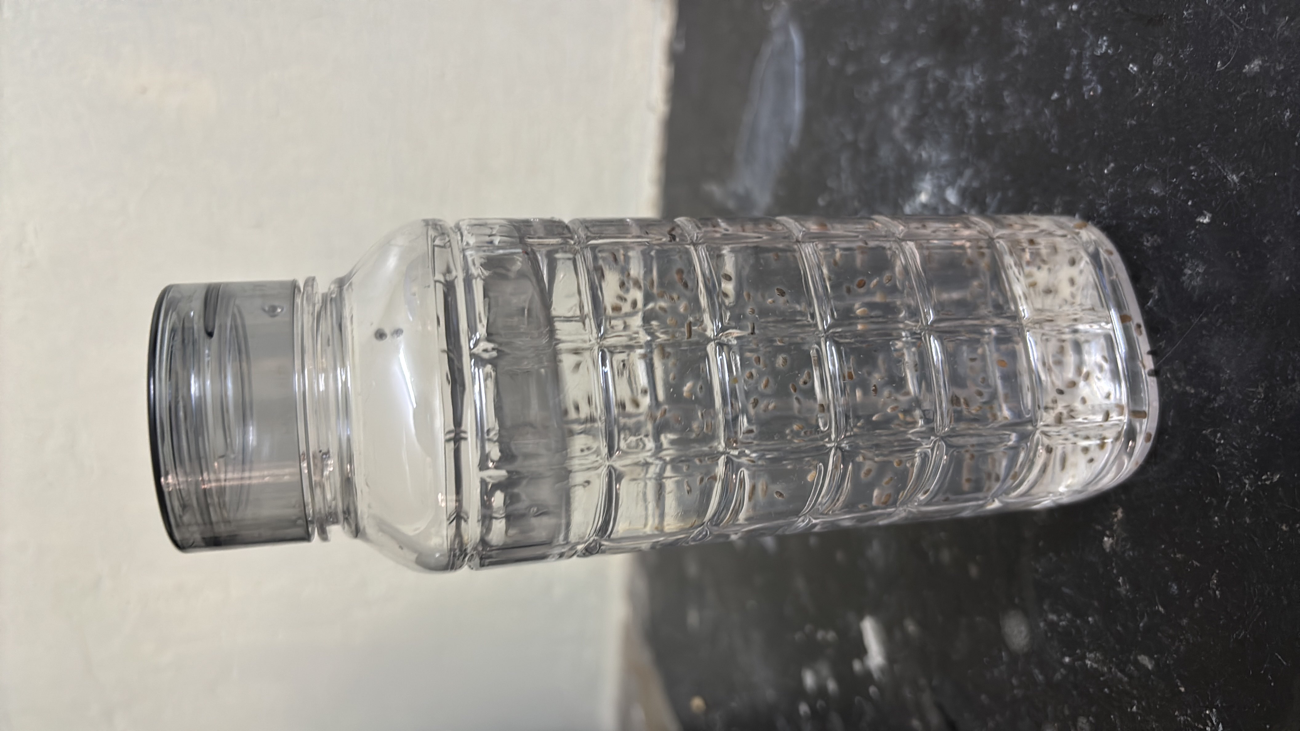 Chia Seed Water