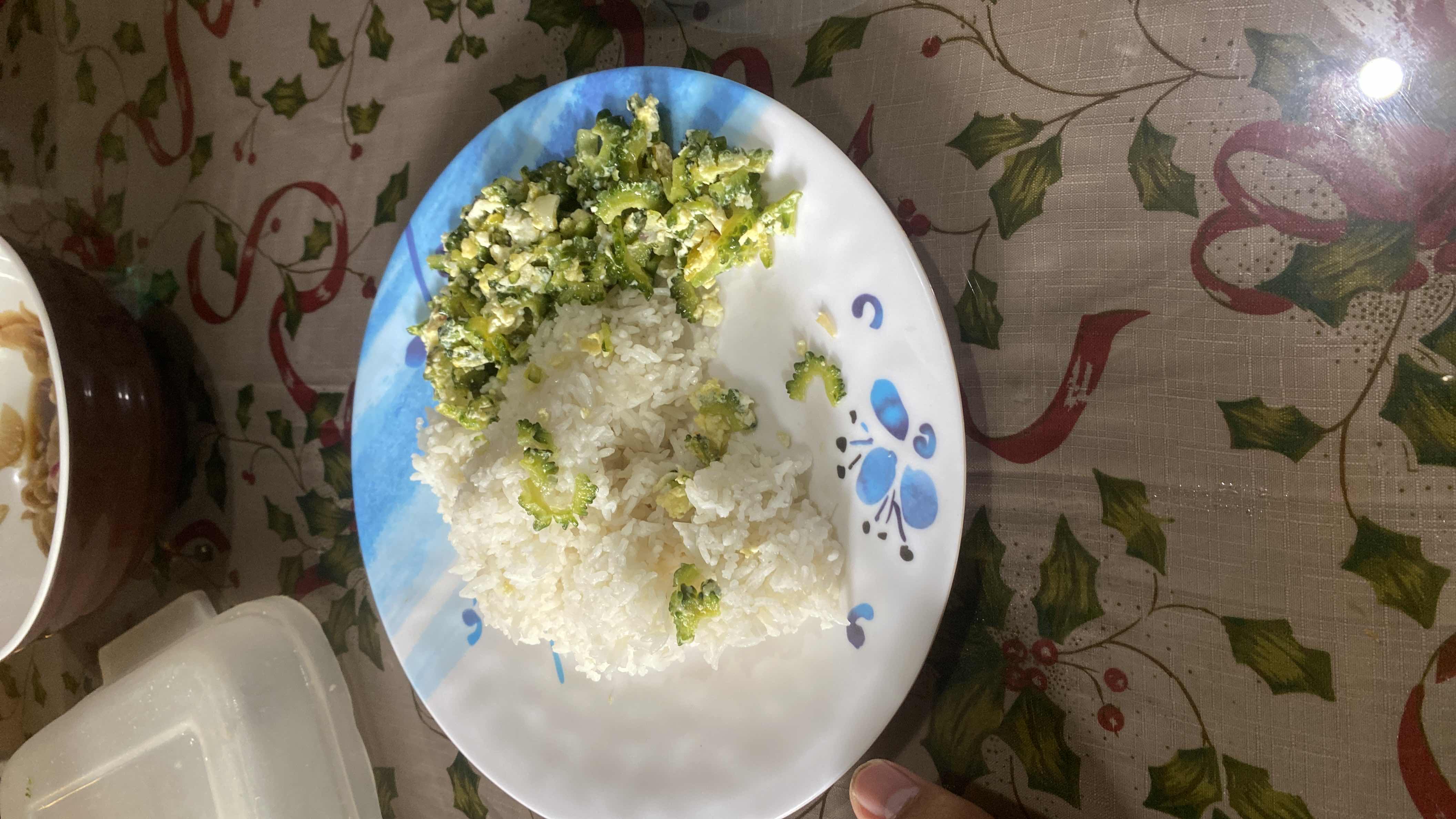 Rice with Bitter Melon Egg