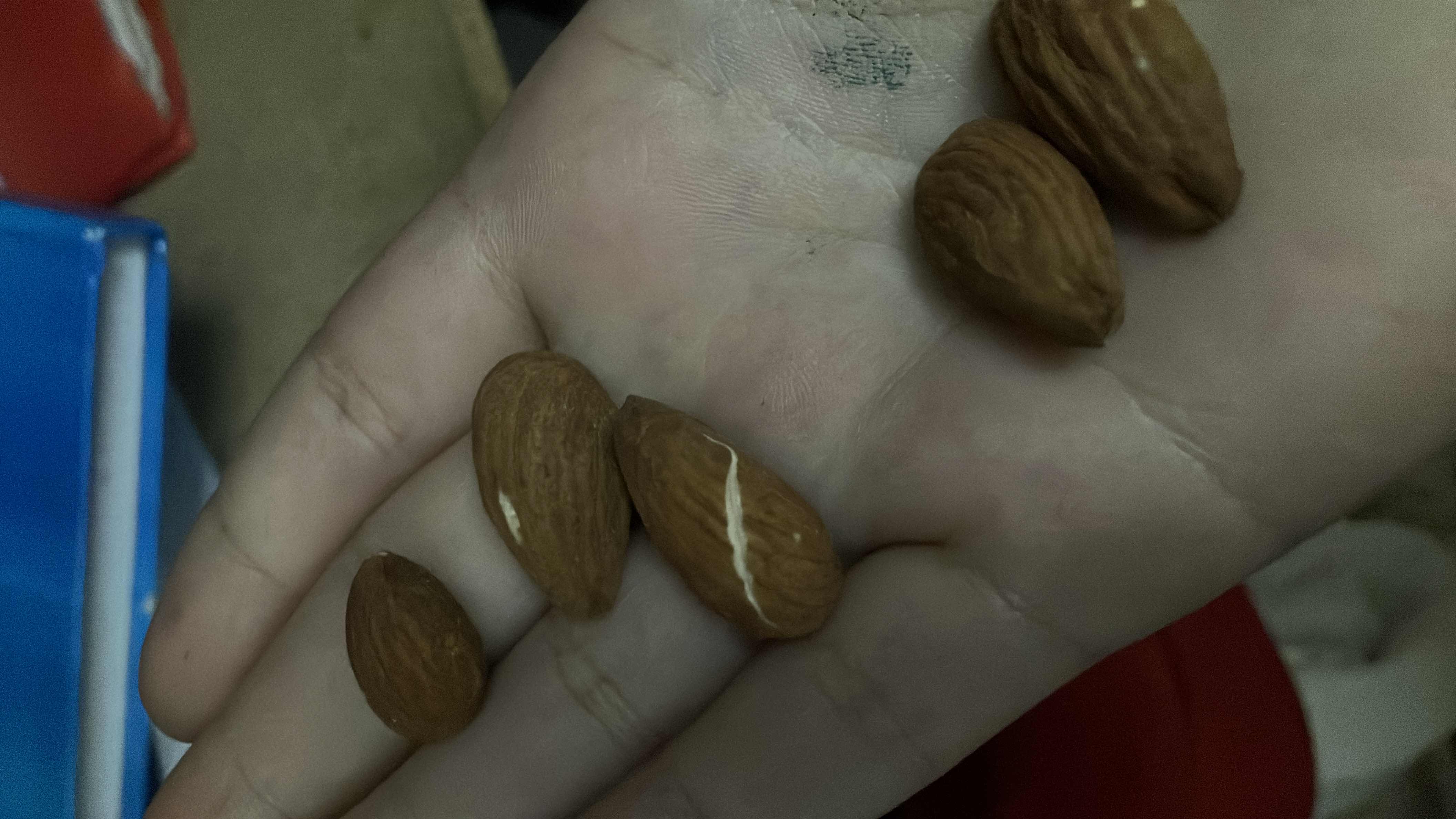 Almond Snack
