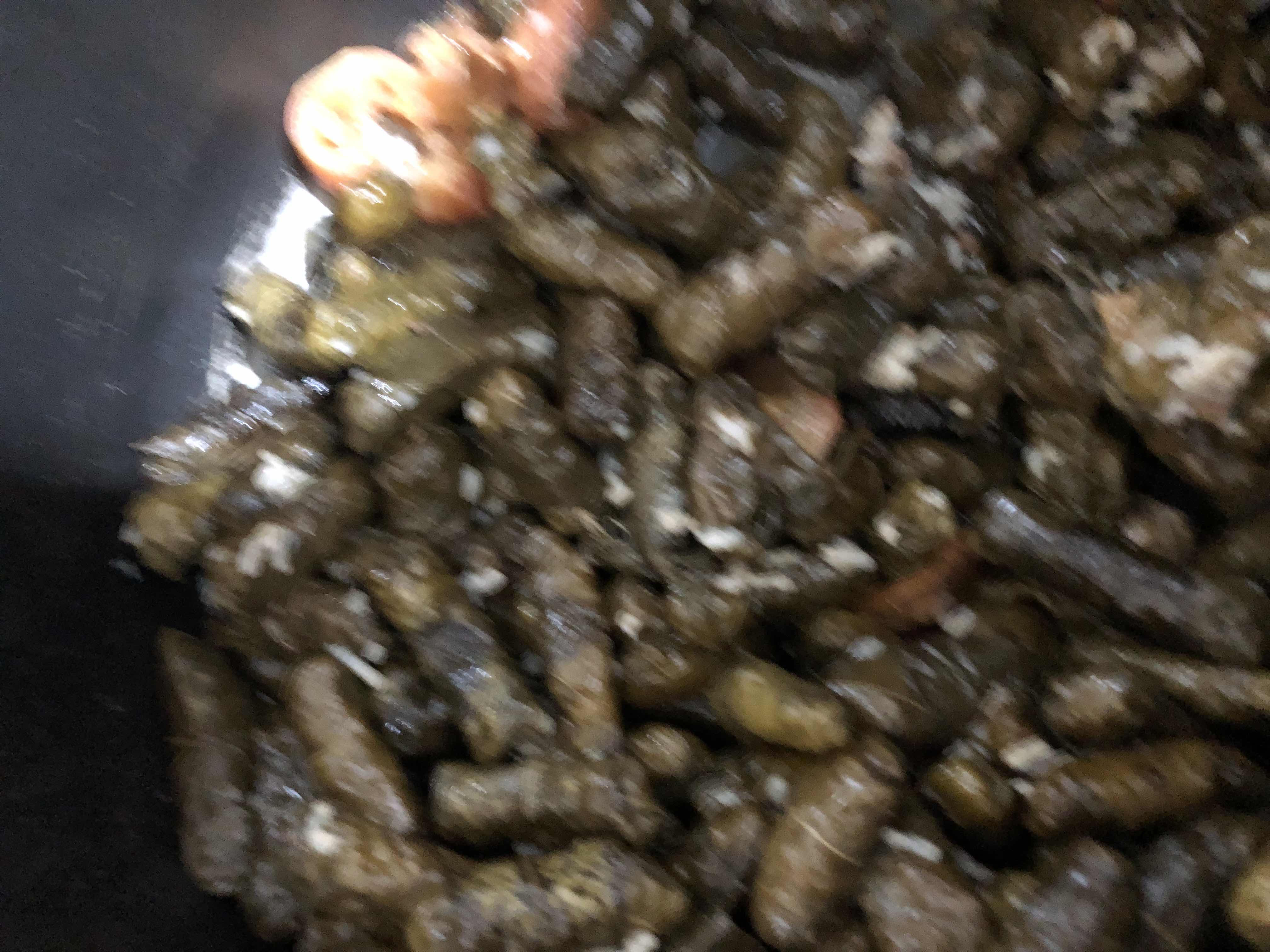 Stuffed Grape Leaves