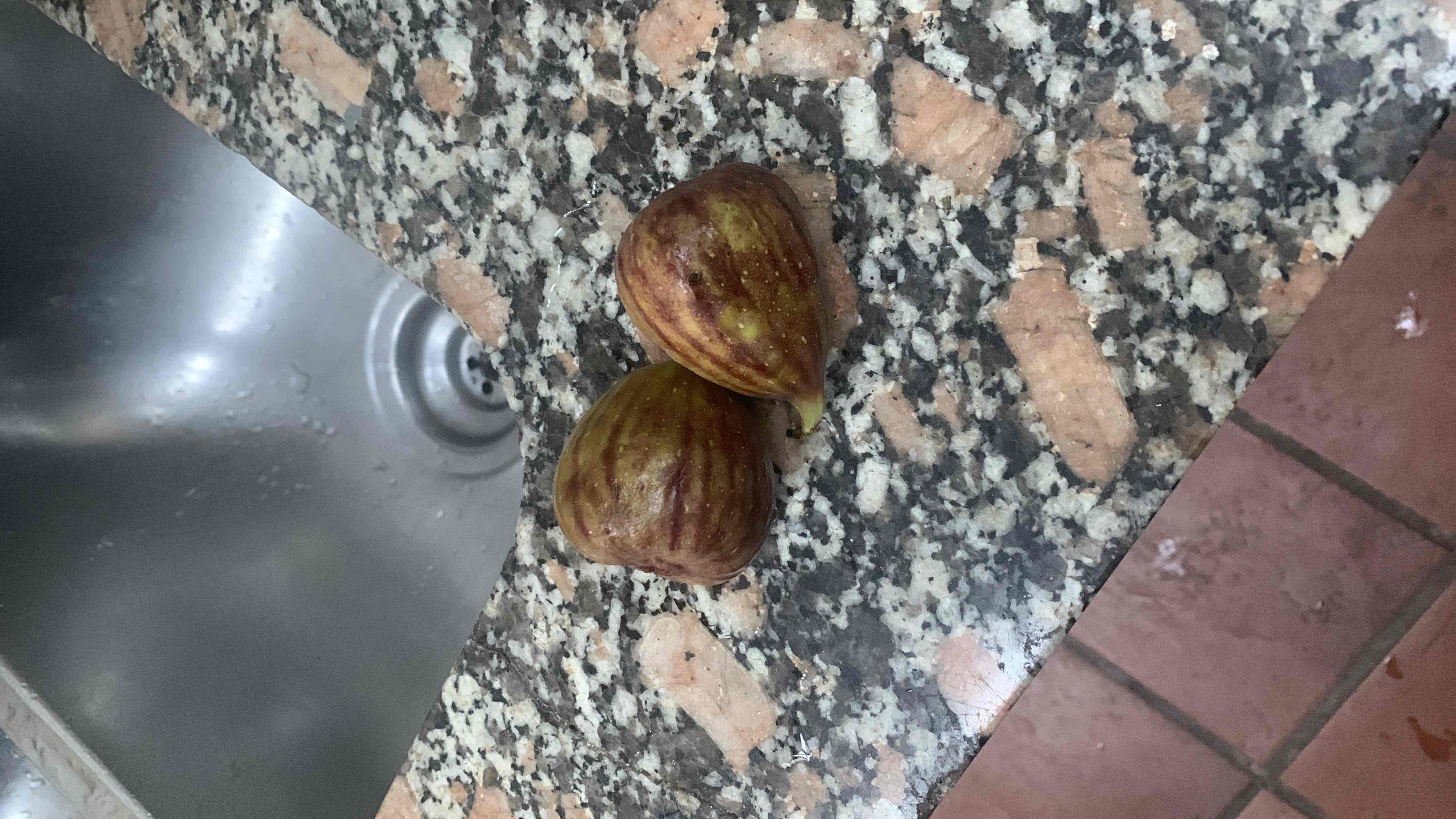 Fresh Figs