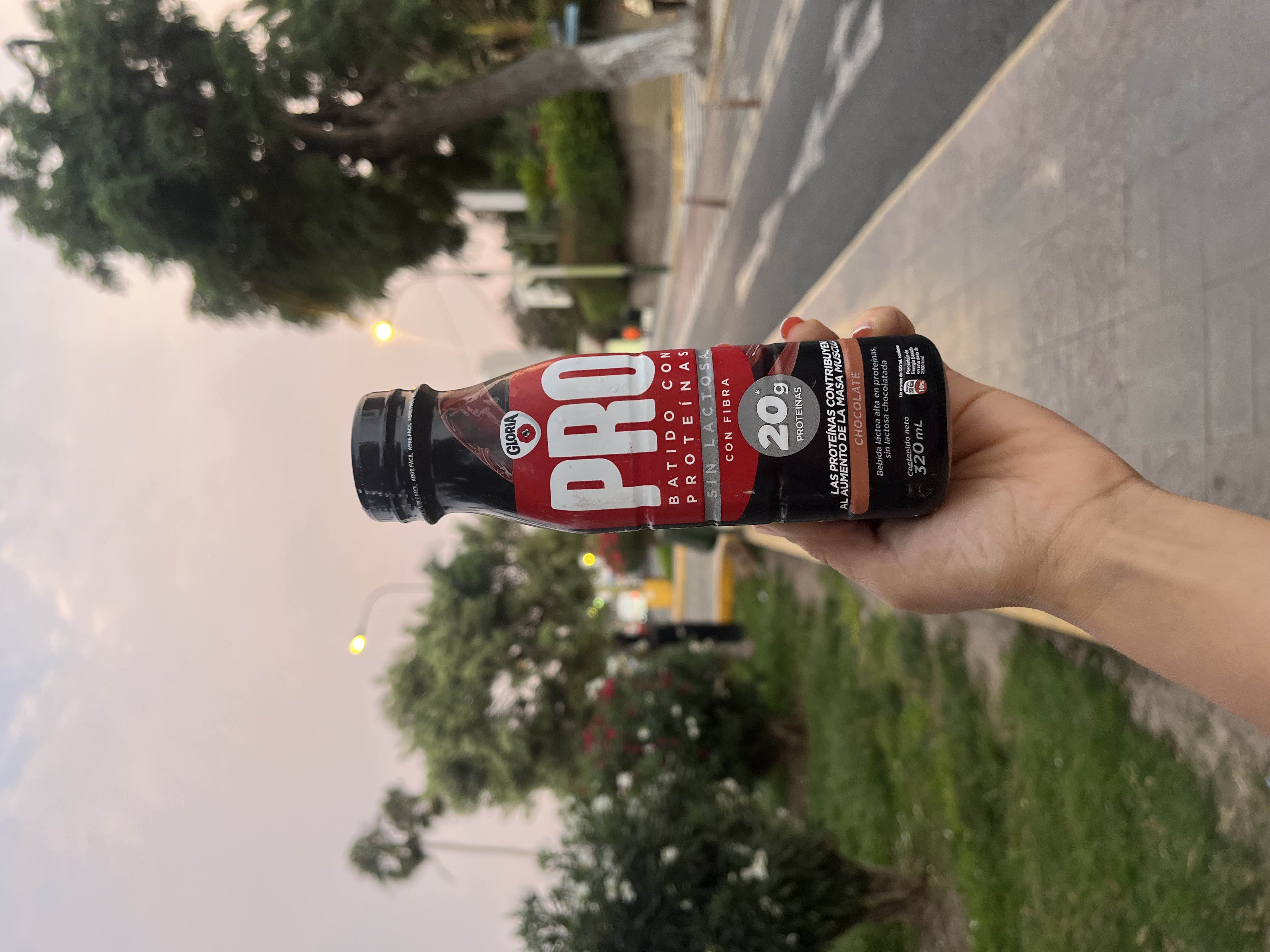 Protein Shake Chocolate