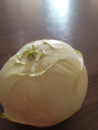 Kohlrabi