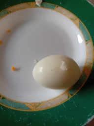 Boiled Egg