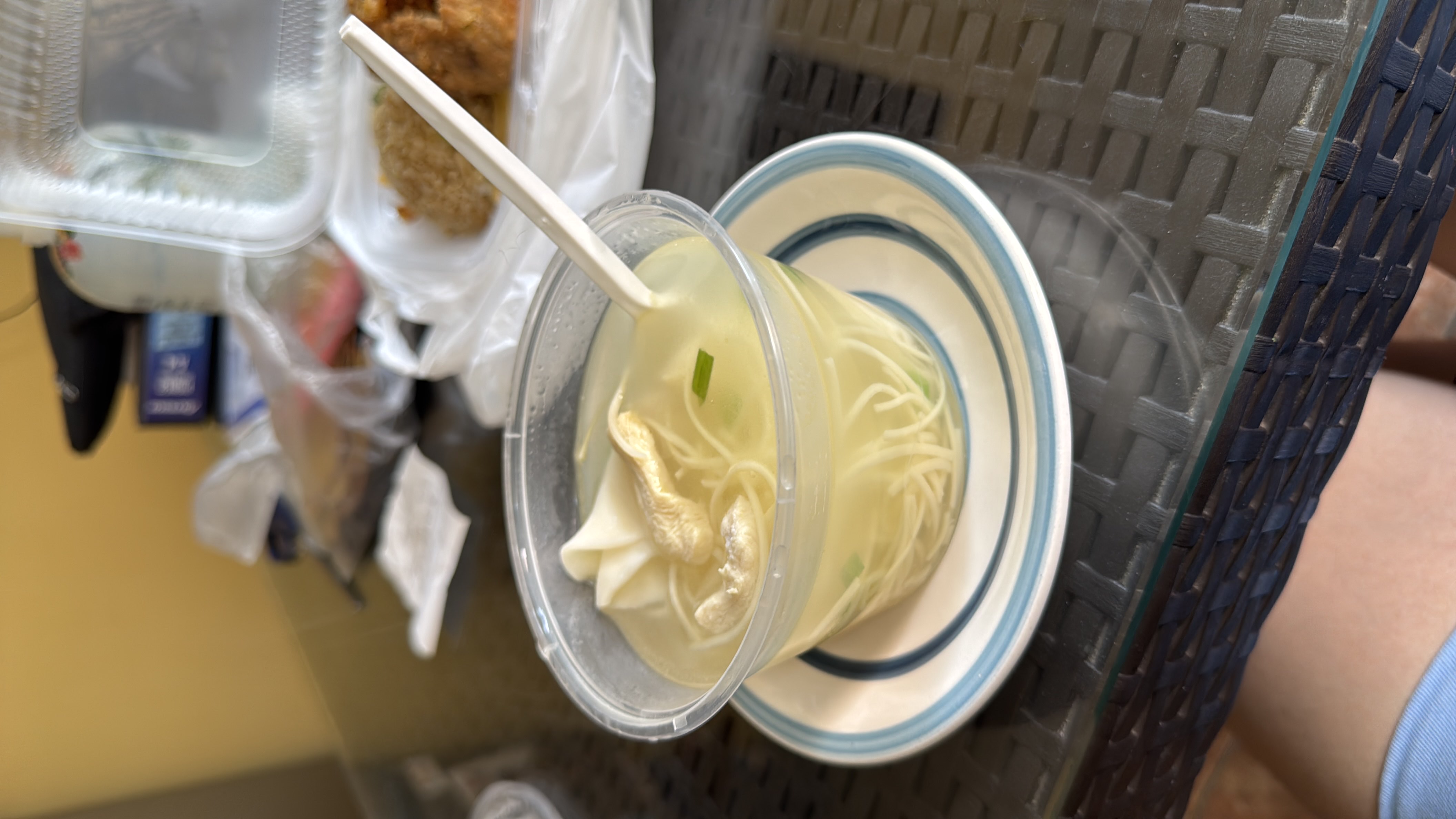 Sopa de fideos con pollo