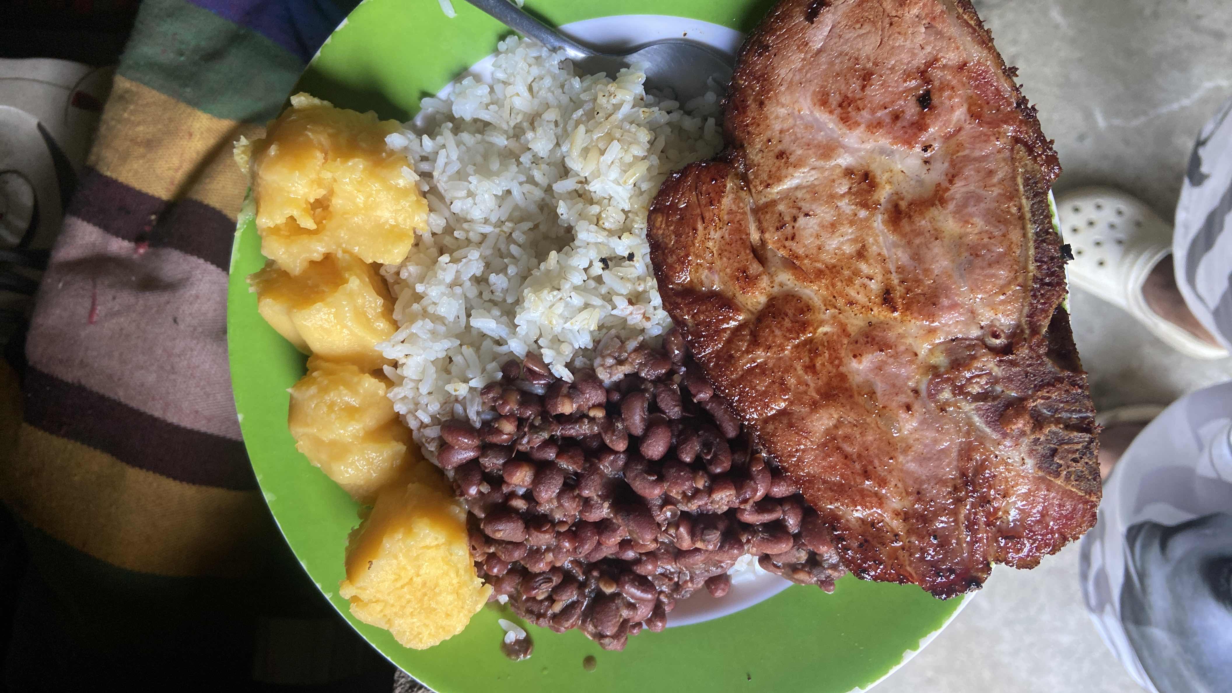 Plato típico con carne