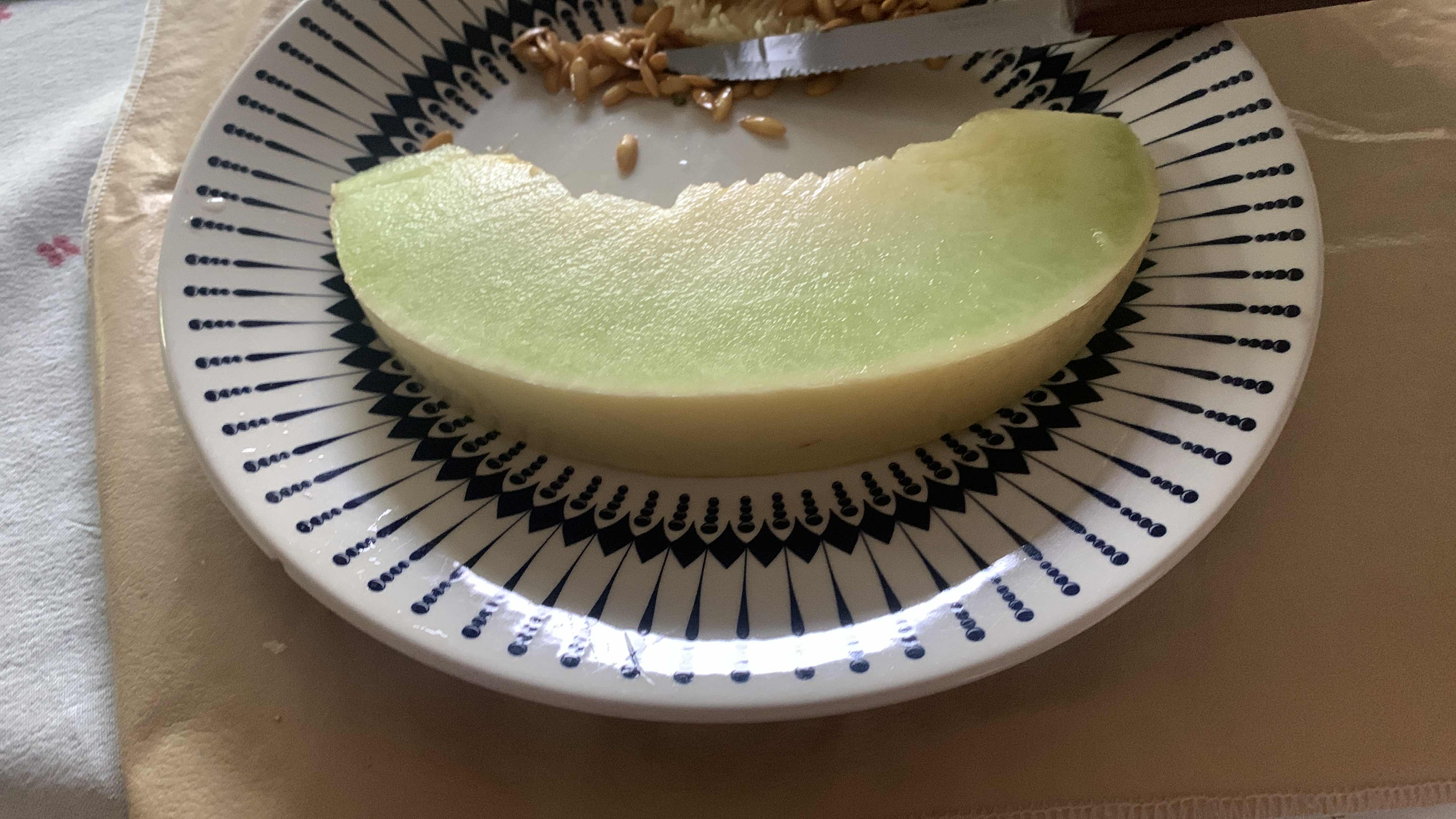 Honeydew Melon Slice