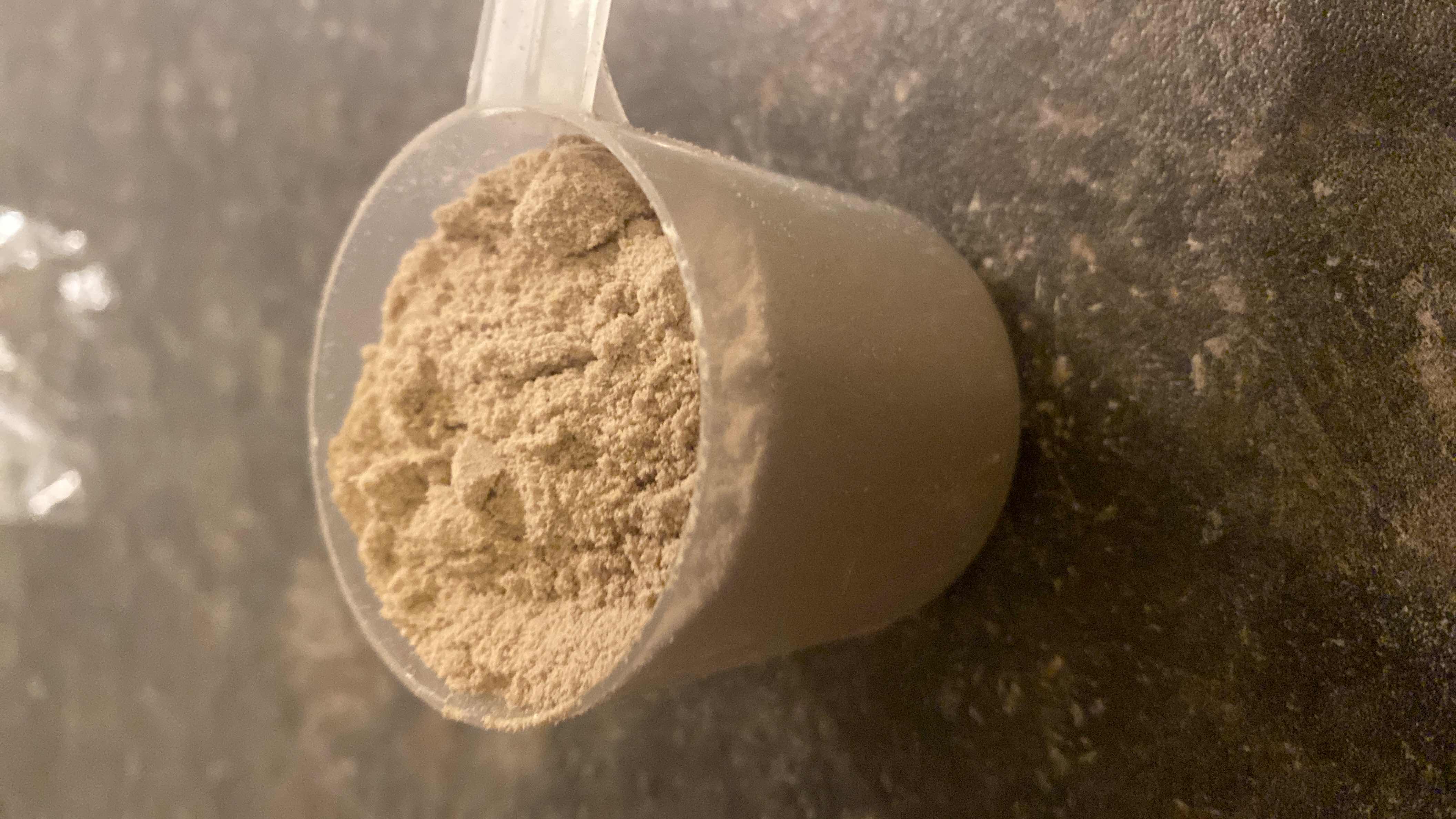 بروتين مسحوق