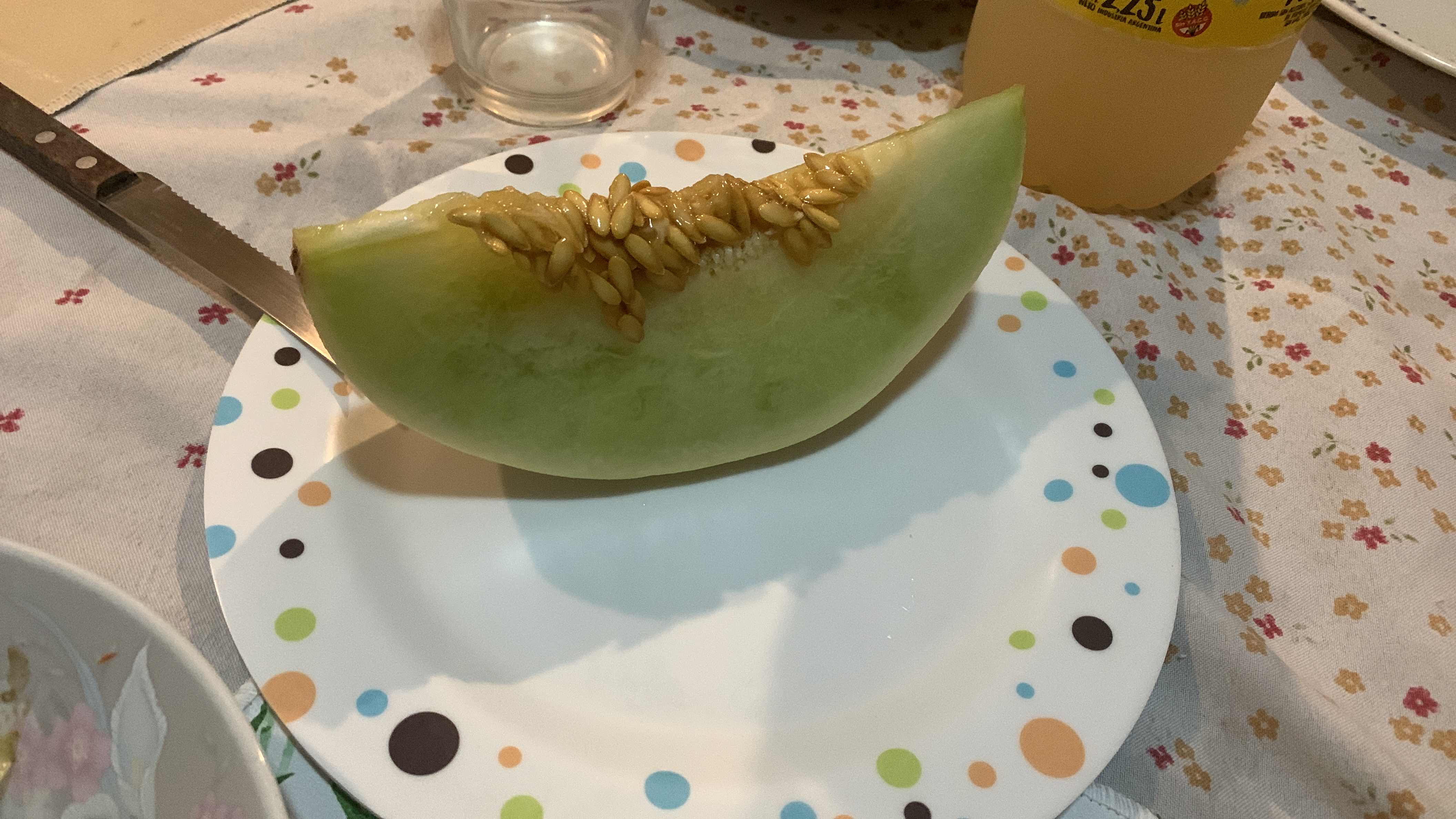 Honeydew Melon Slice