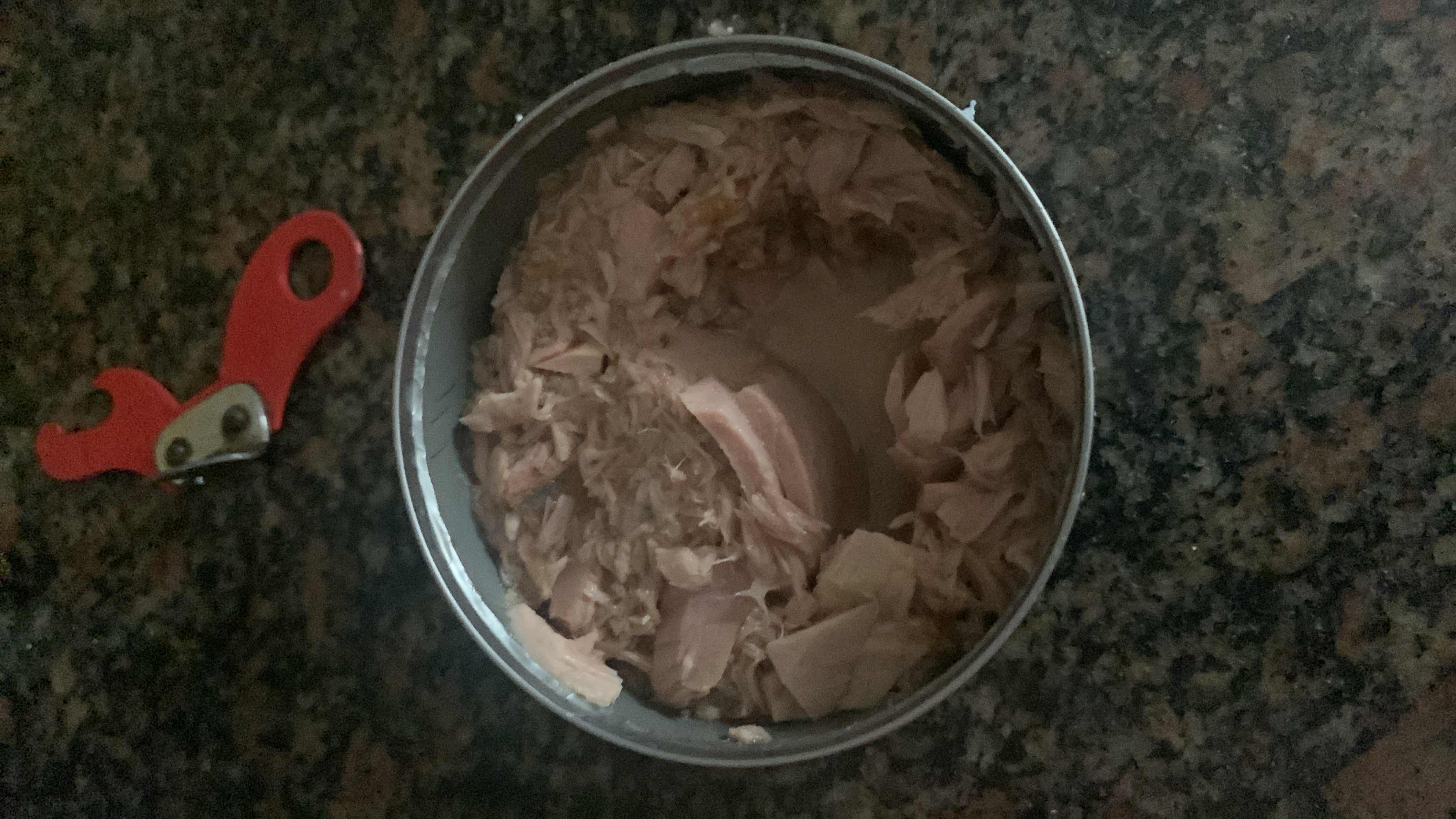 Canned Tuna