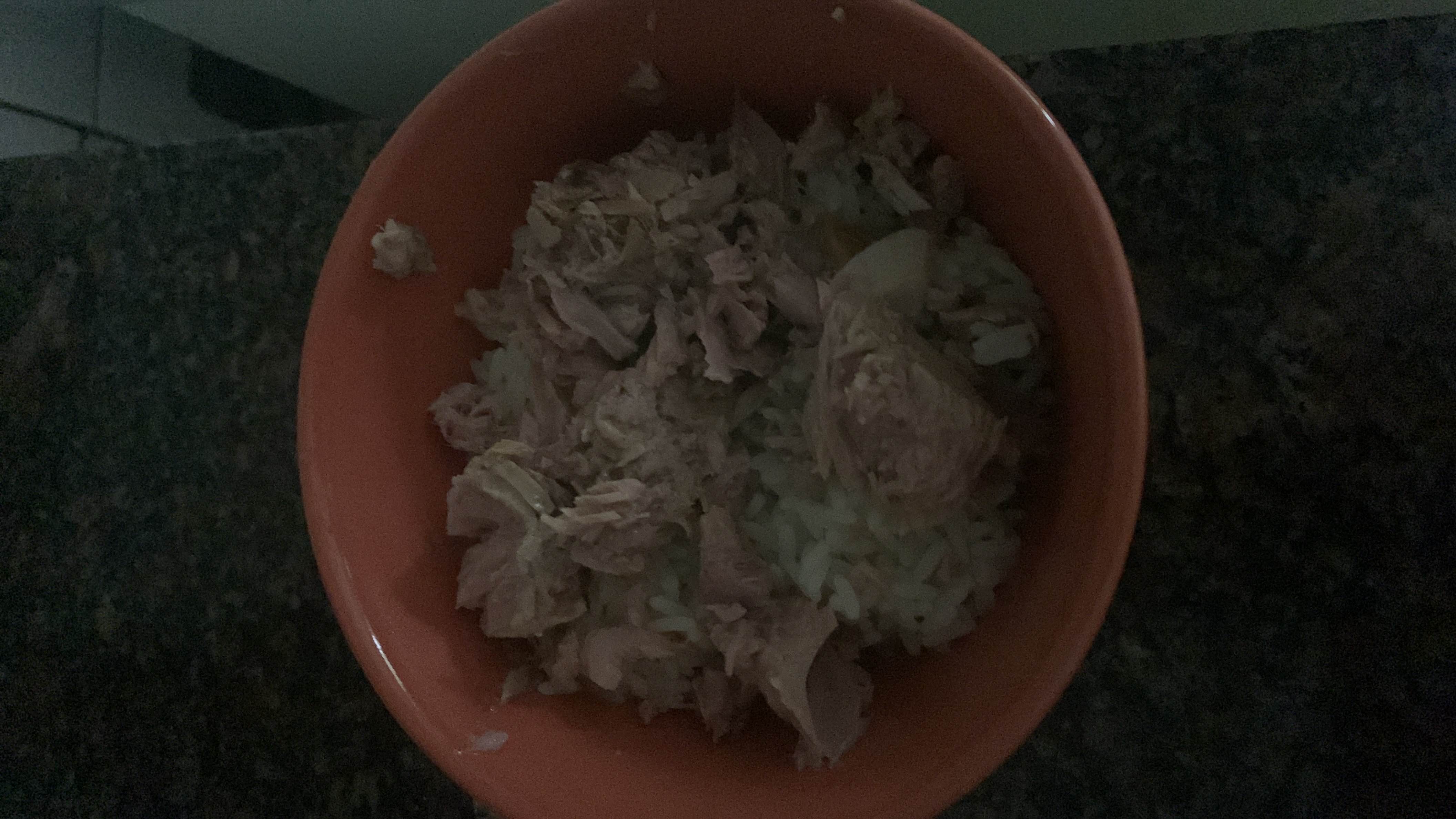 Tuna Rice Bowl