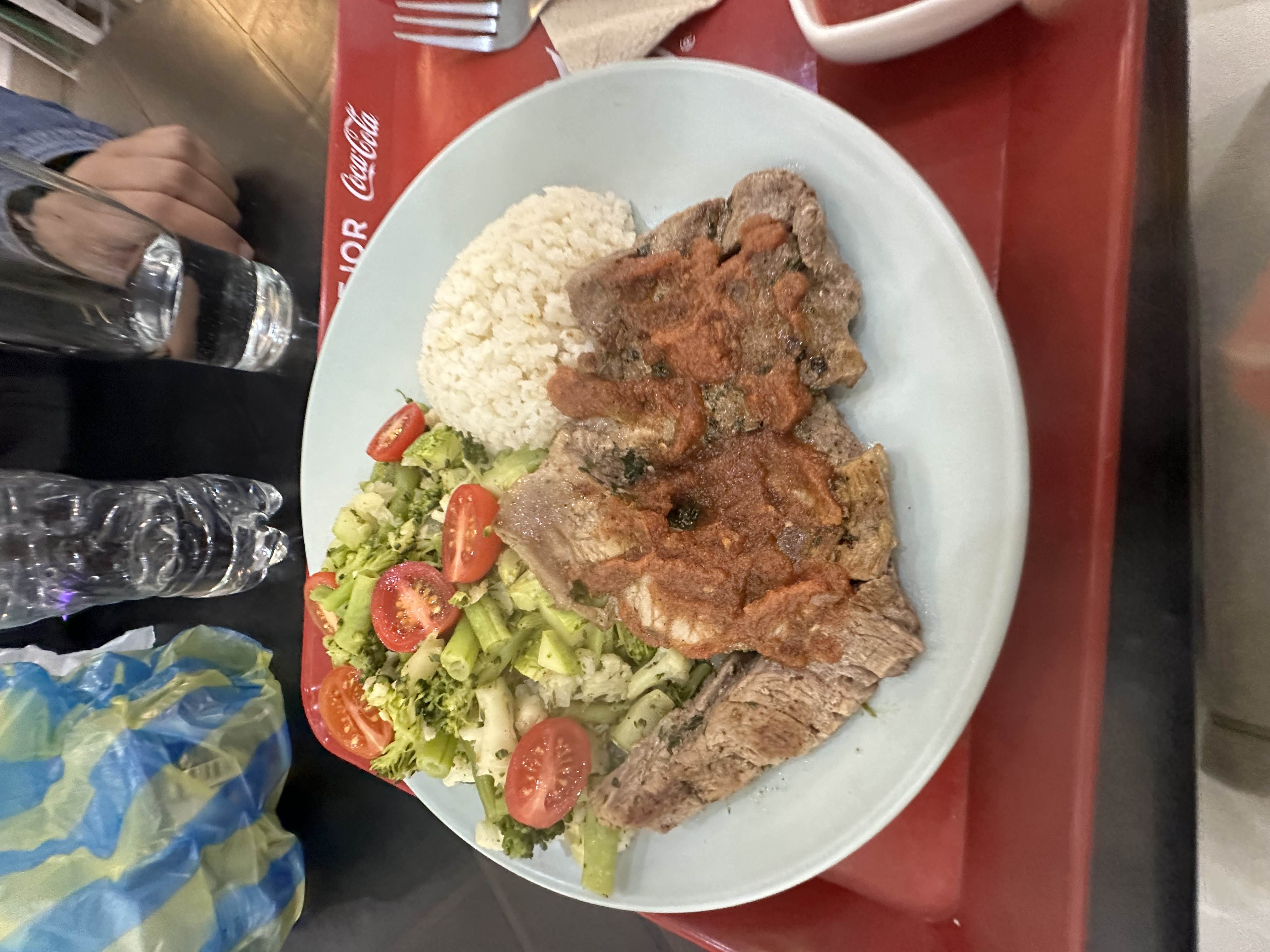 Carne con arroz y ensalada