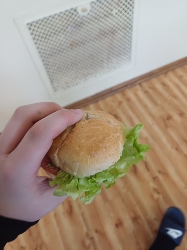 Lettuce Burger