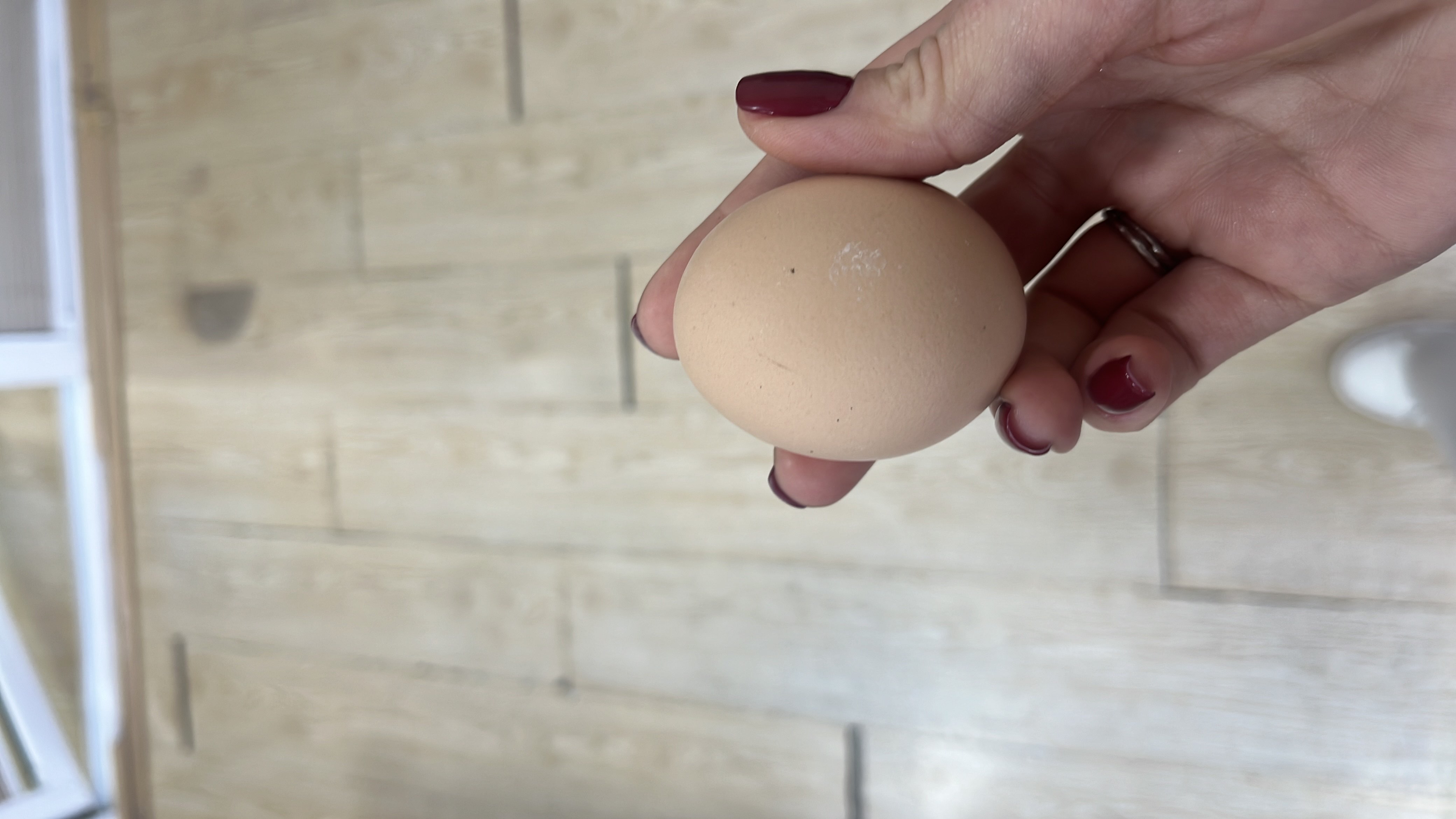 Куриное яйцо