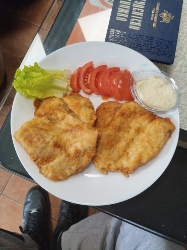 Fried Chicken with Salad