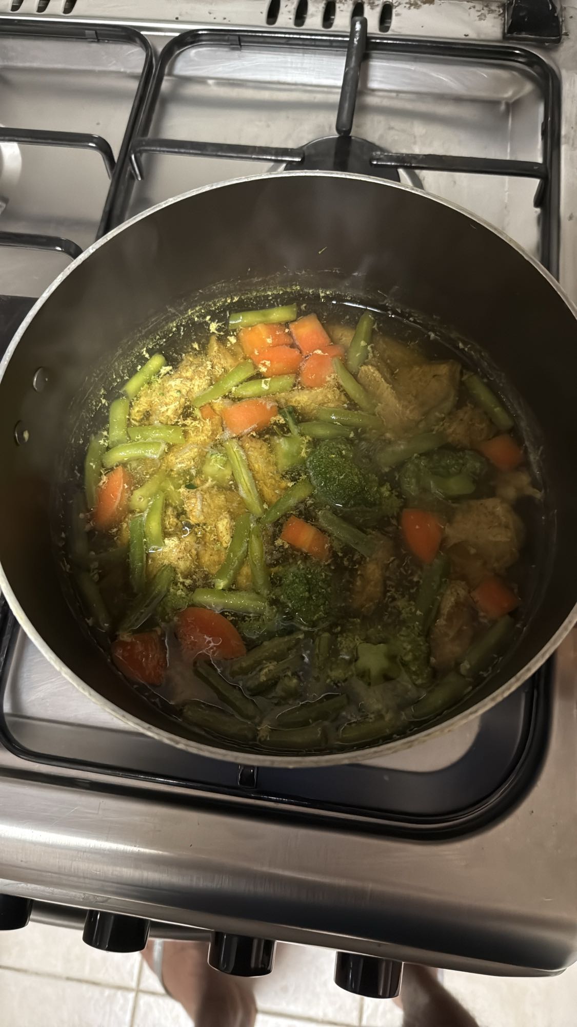 Vegetable Chicken Stew