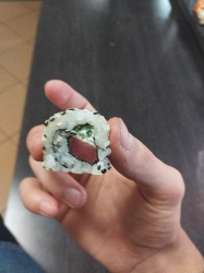 Sushi Roll
