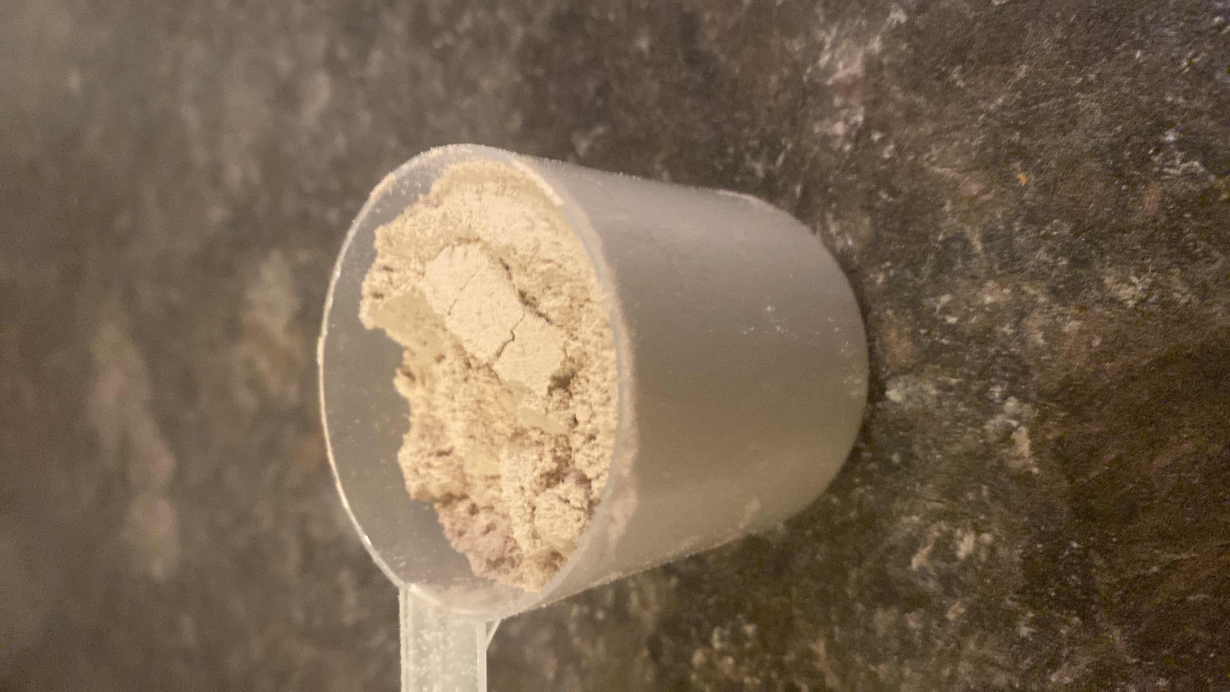 بروتين مسحوق