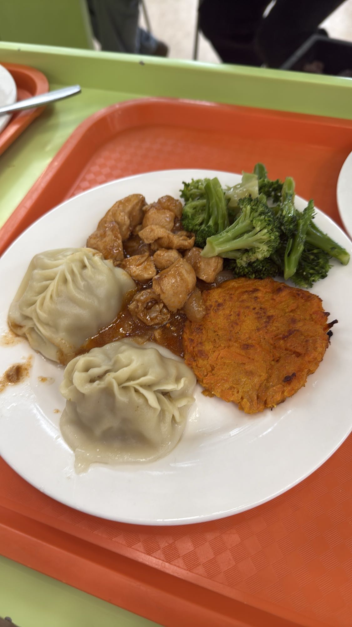 Dumplings with Chicken