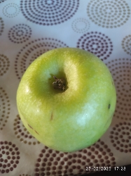 Green Apple