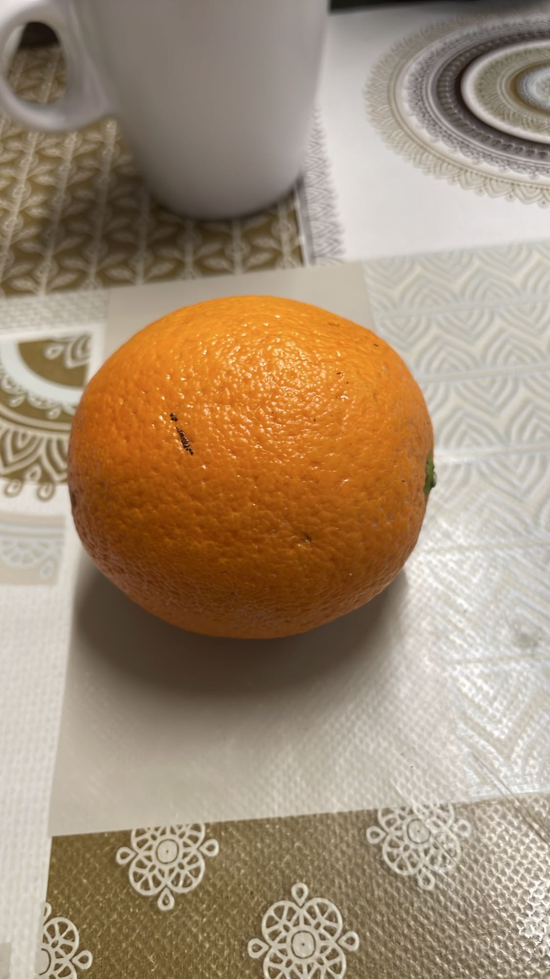 Orange fraîche