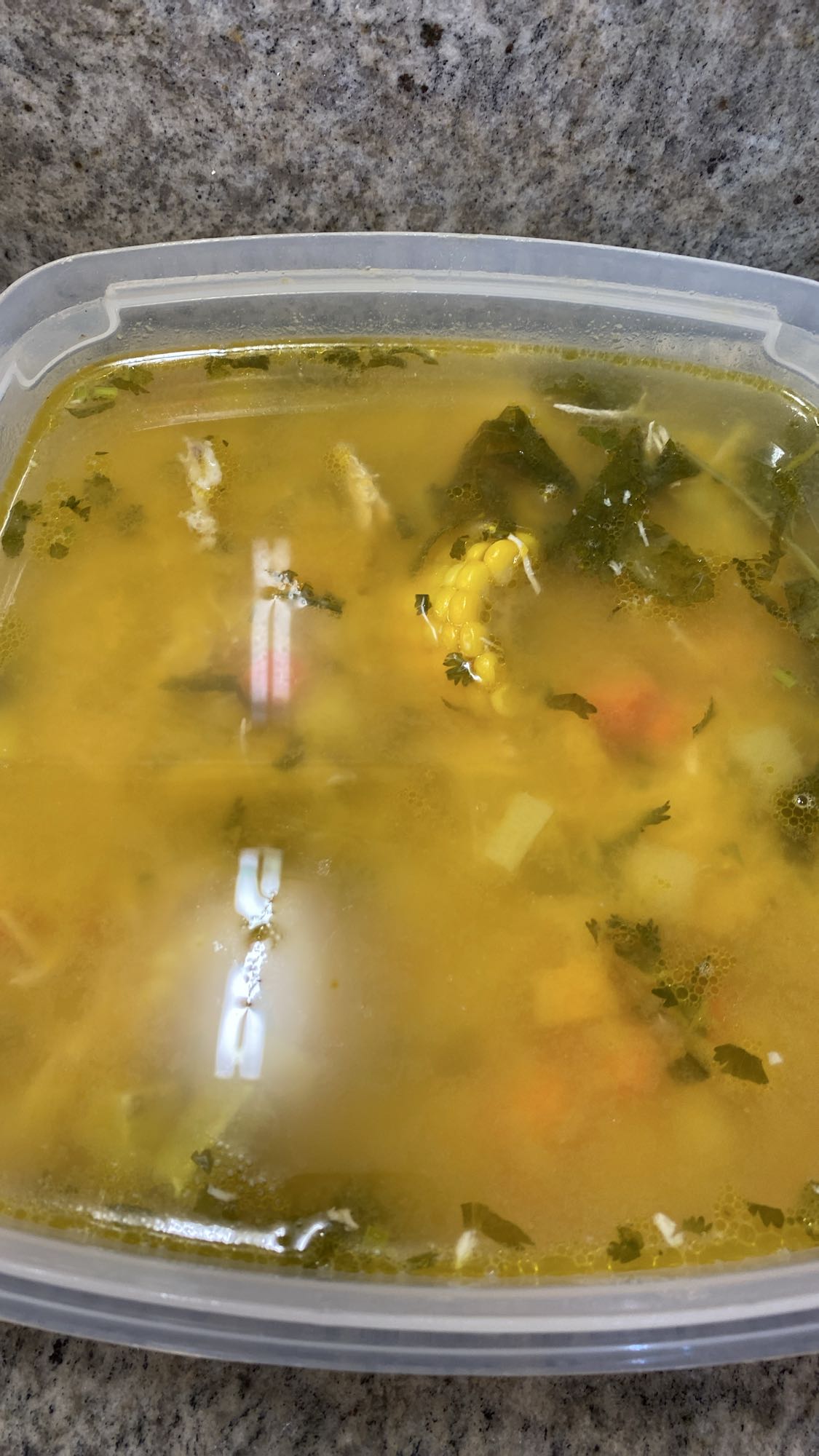 Sopa de pollo casera