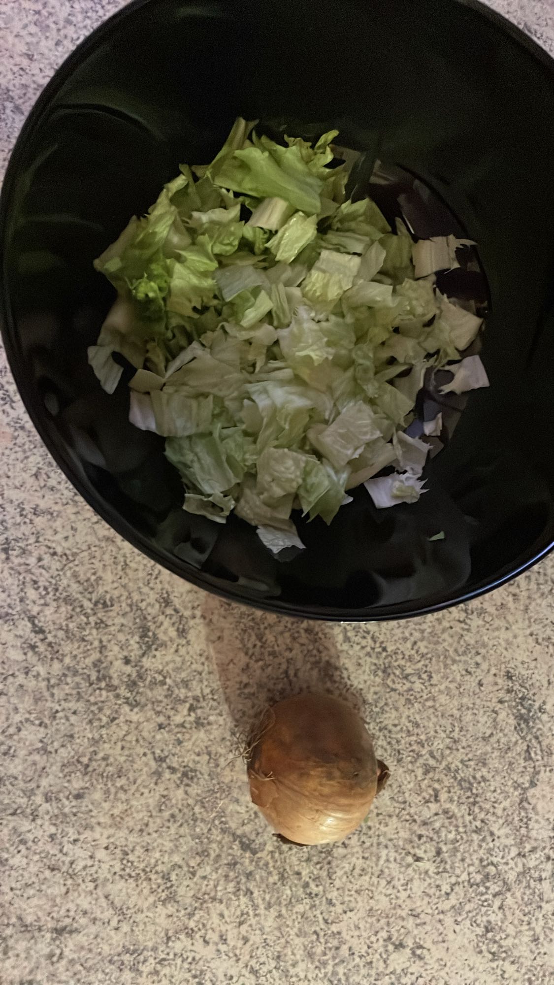 Zelena solata s čebulo