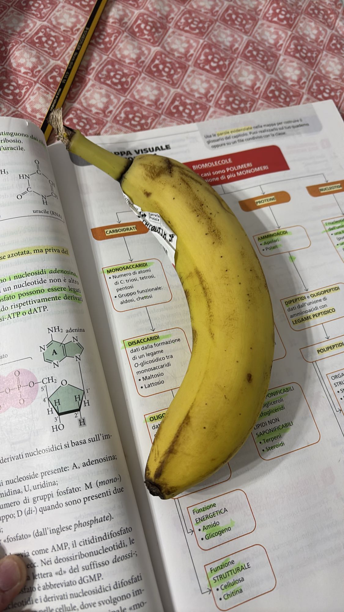 Banana Snack