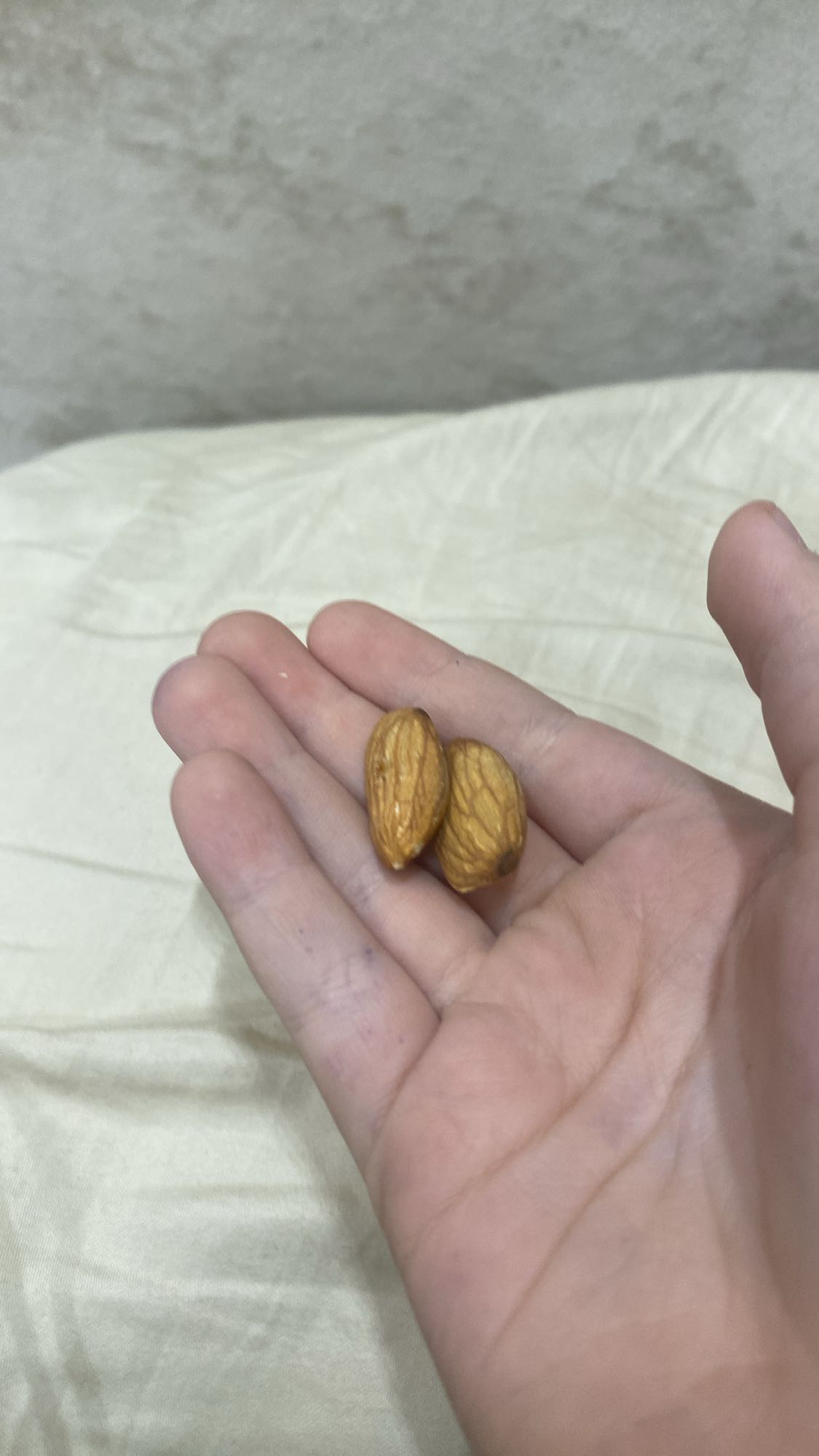 Almond Snack