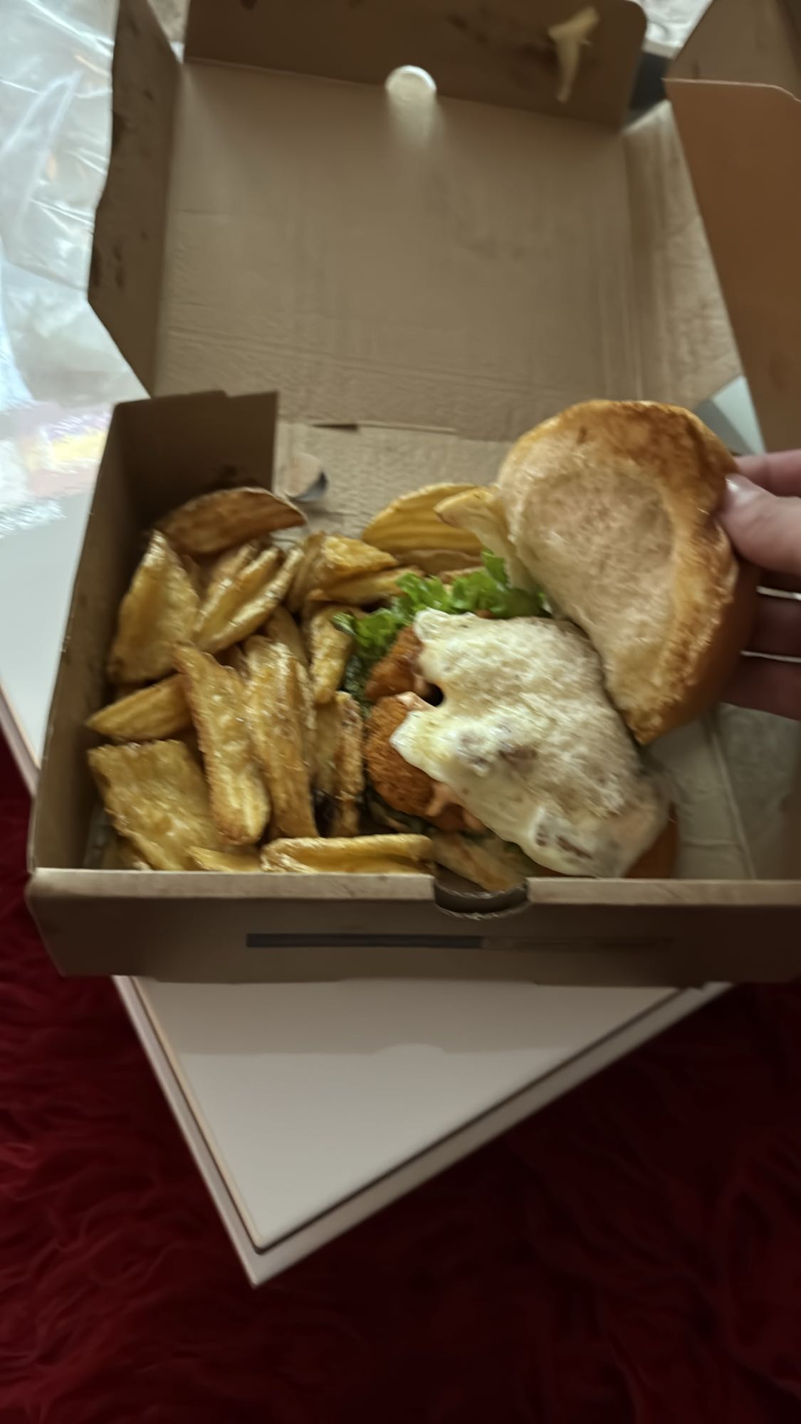 Chicken Burger with Fries