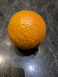 Orange fraîche
