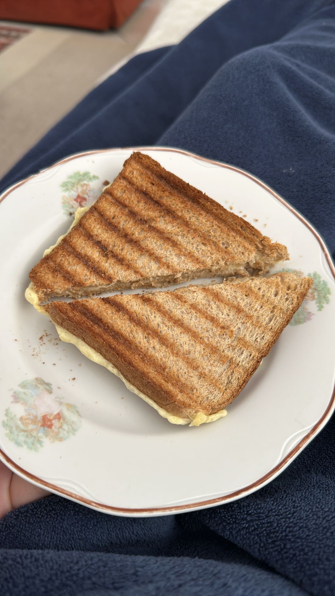 Τοστ με τυρί