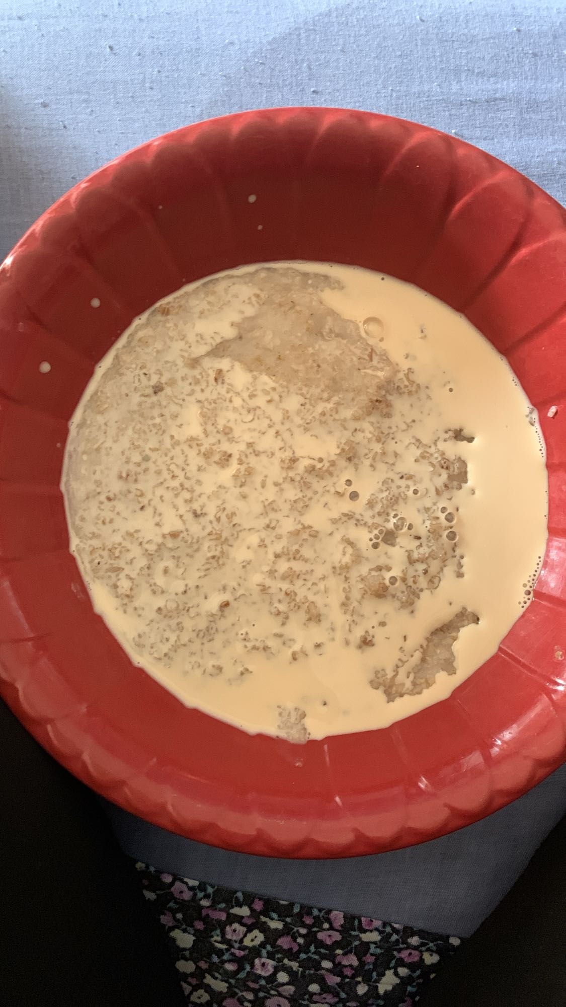 Oatmeal with Milk
