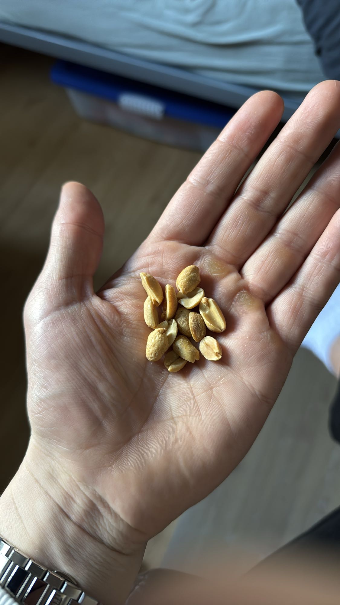 Handful of Peanuts