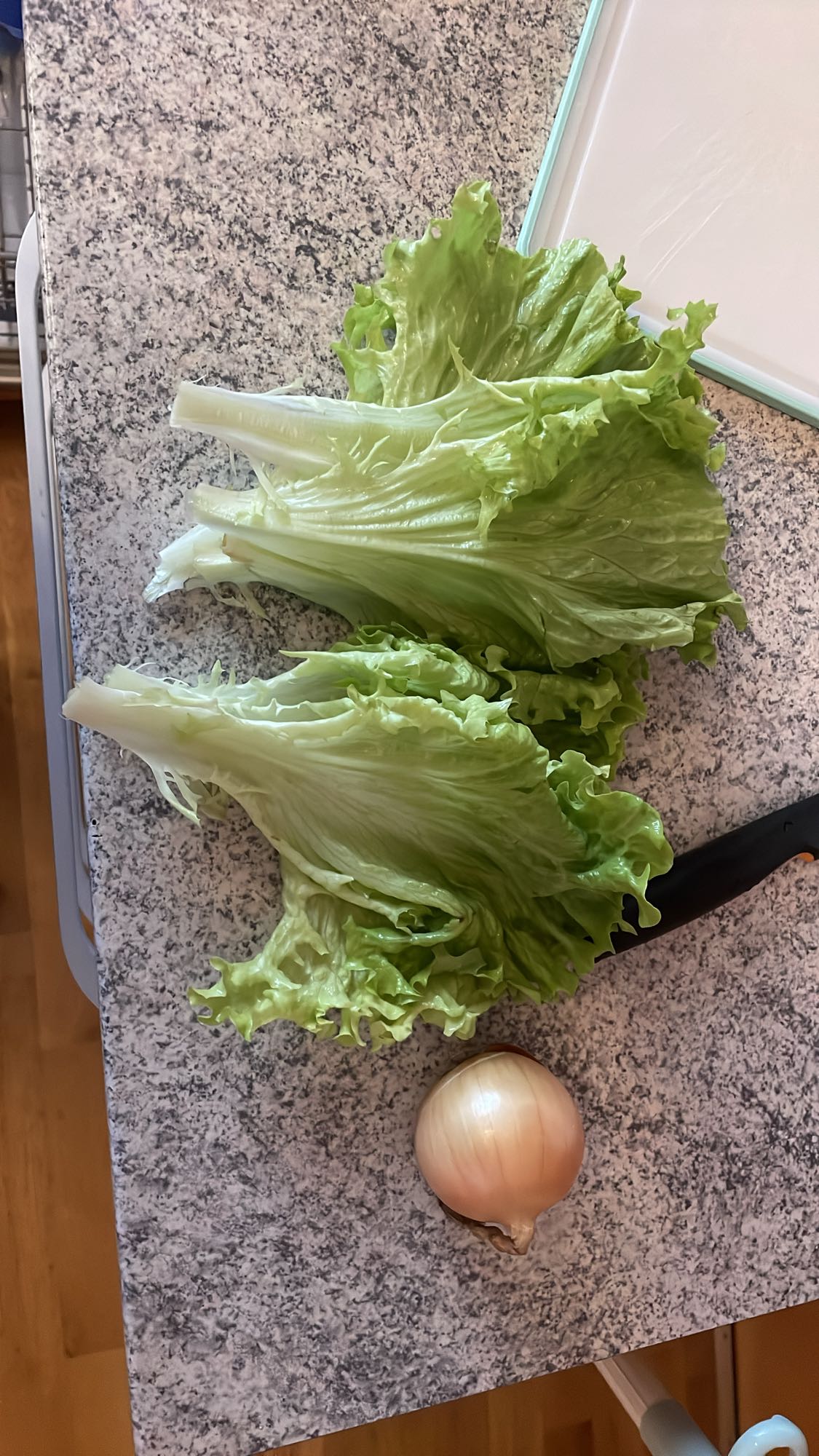 Zelena solata s čebulo