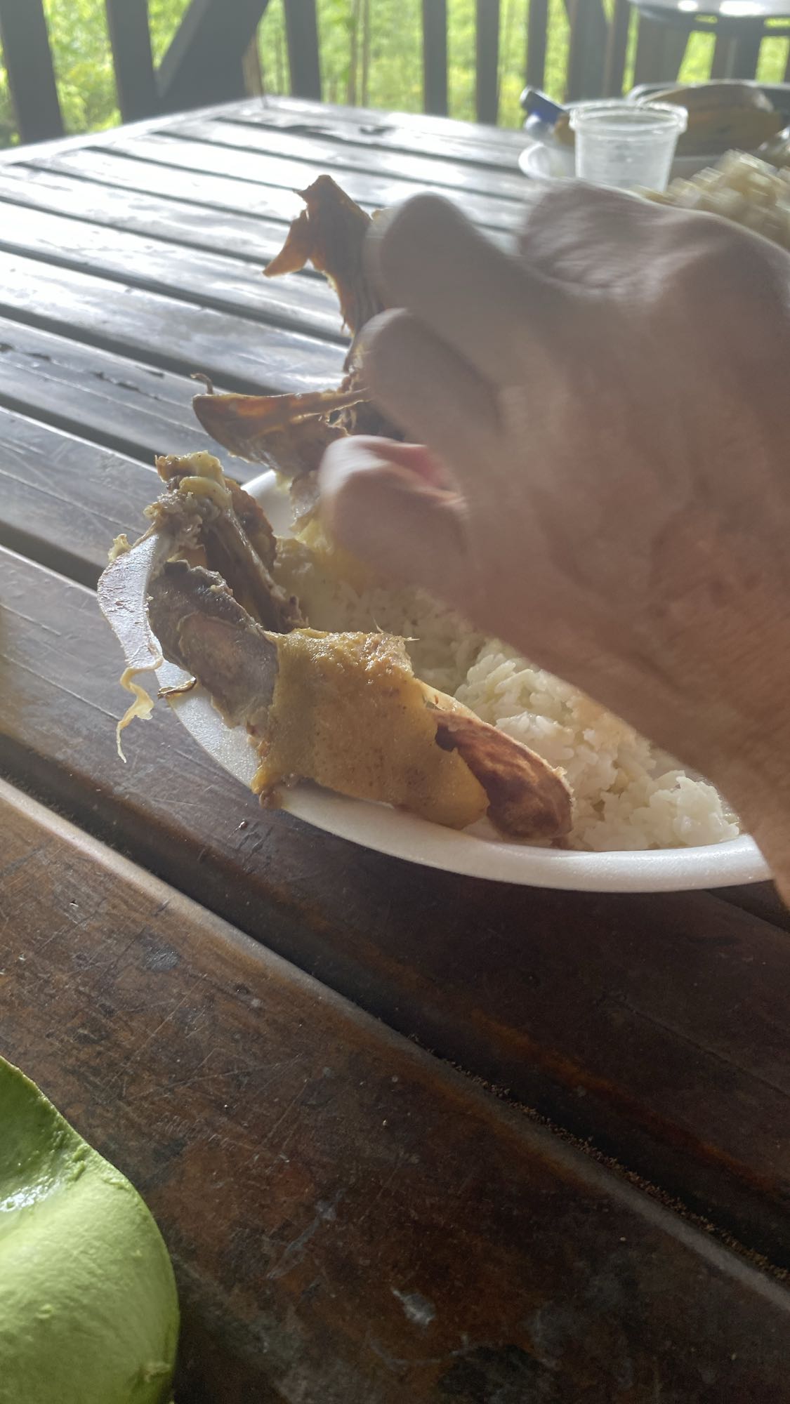 Arroz con carne asada