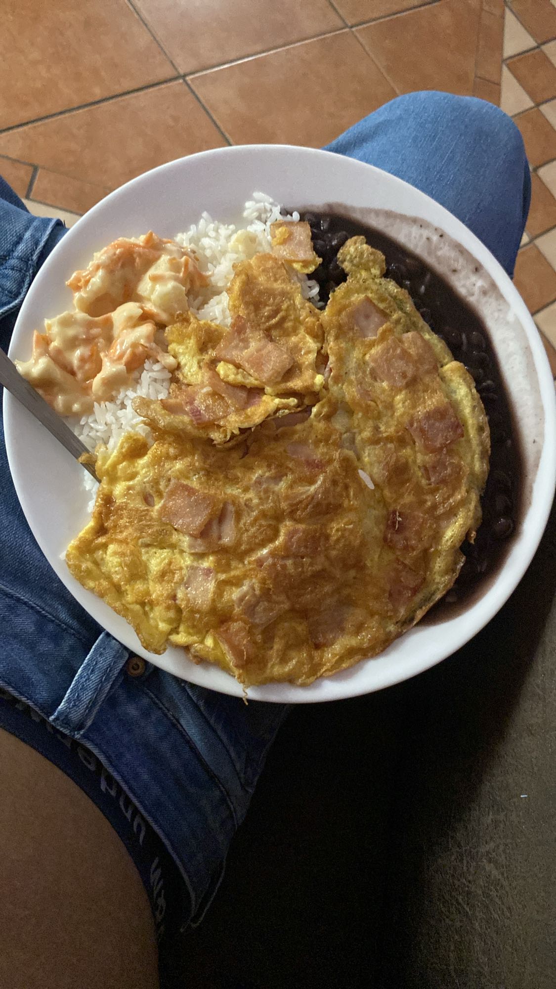 Omelet with rice and beans