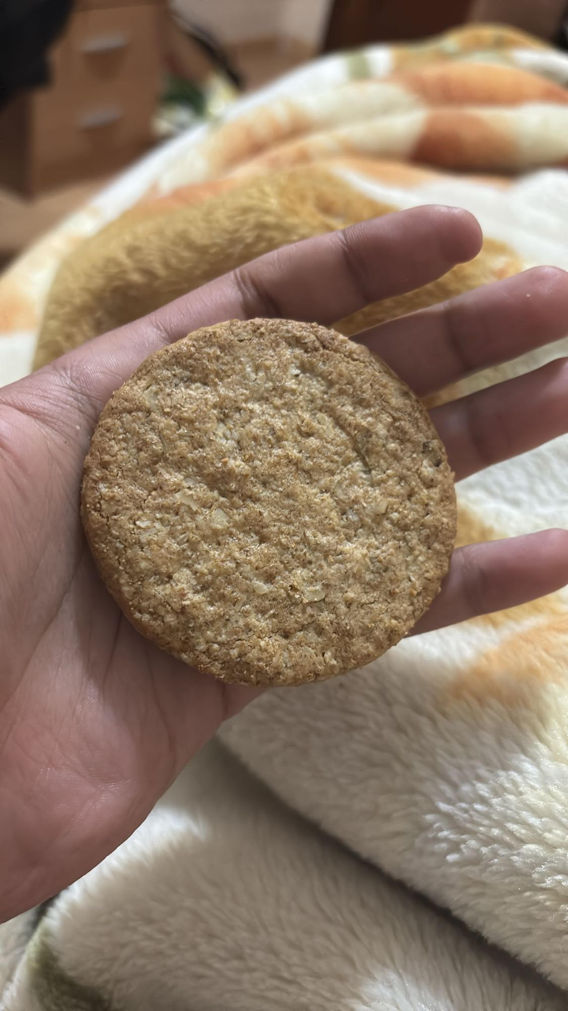Galleta de avena