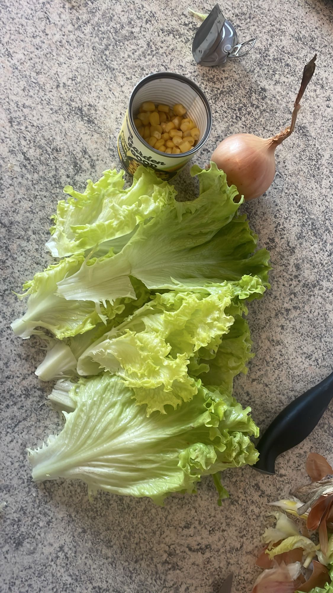 Zelena solata s koruzo