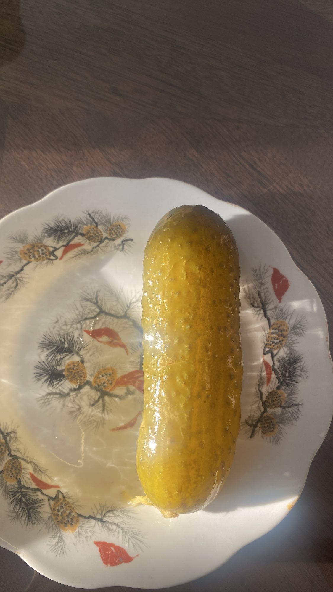 Маринованный огурец